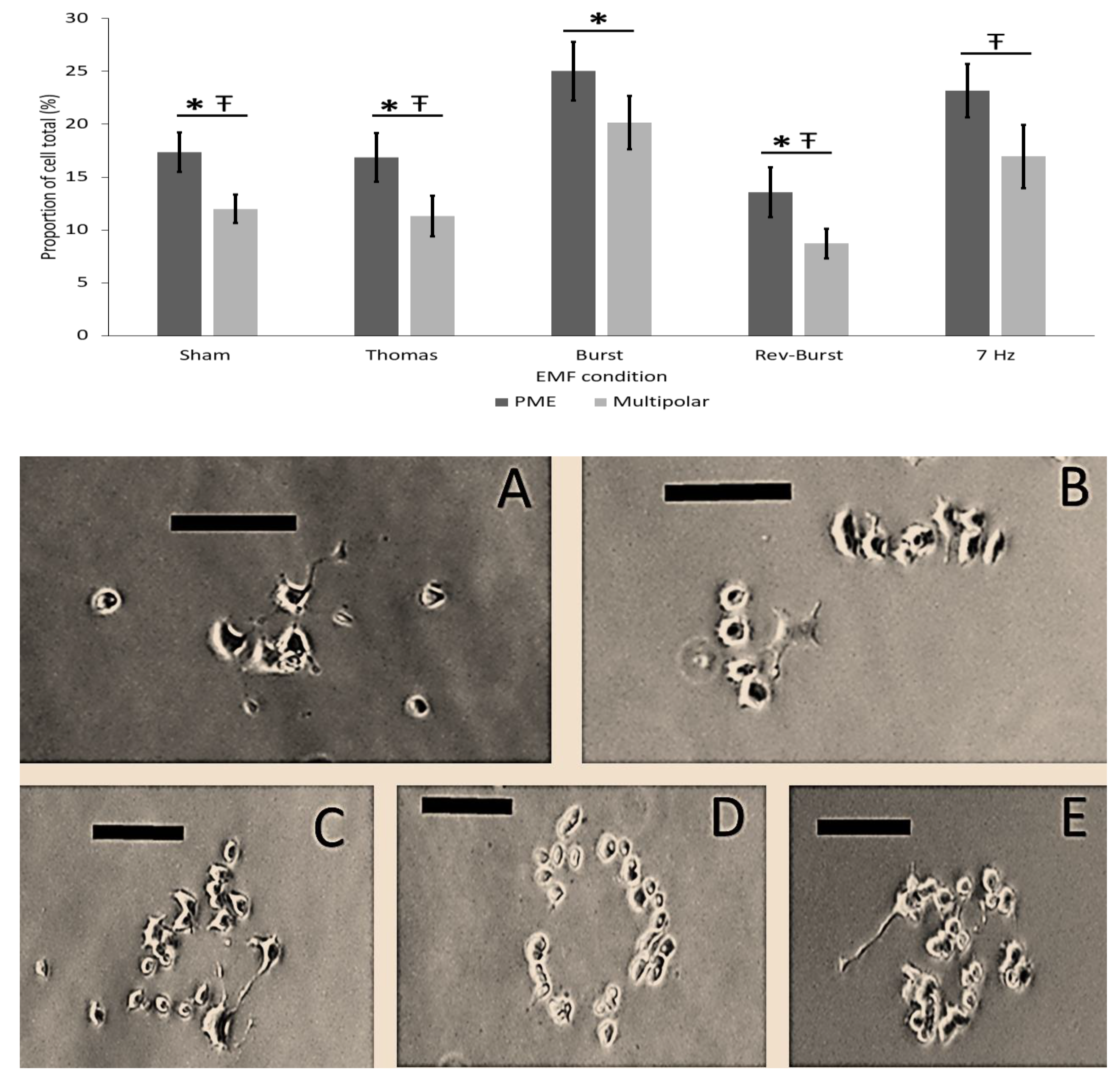 Neurosci 02 00028 g005