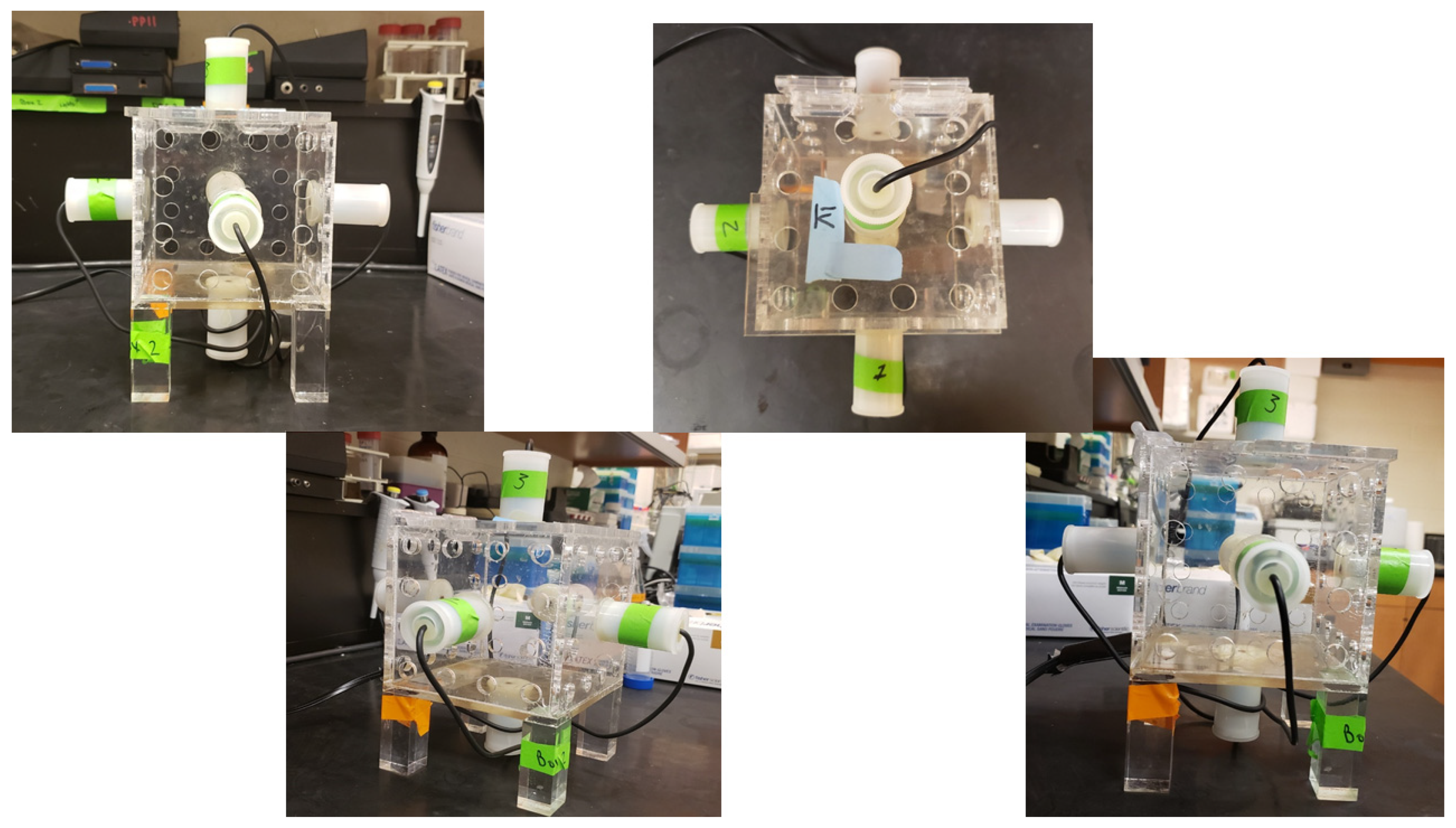 Neurosci 02 00028 g0a1