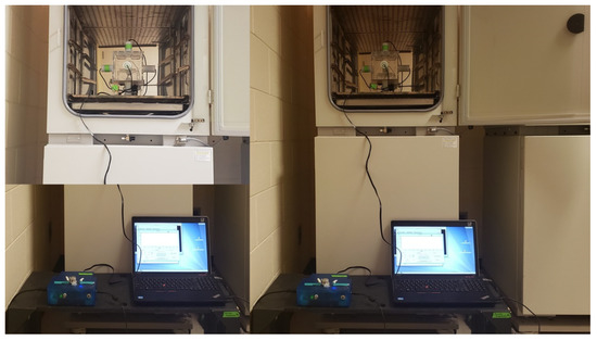 Neurosci 02 00028 g0a2