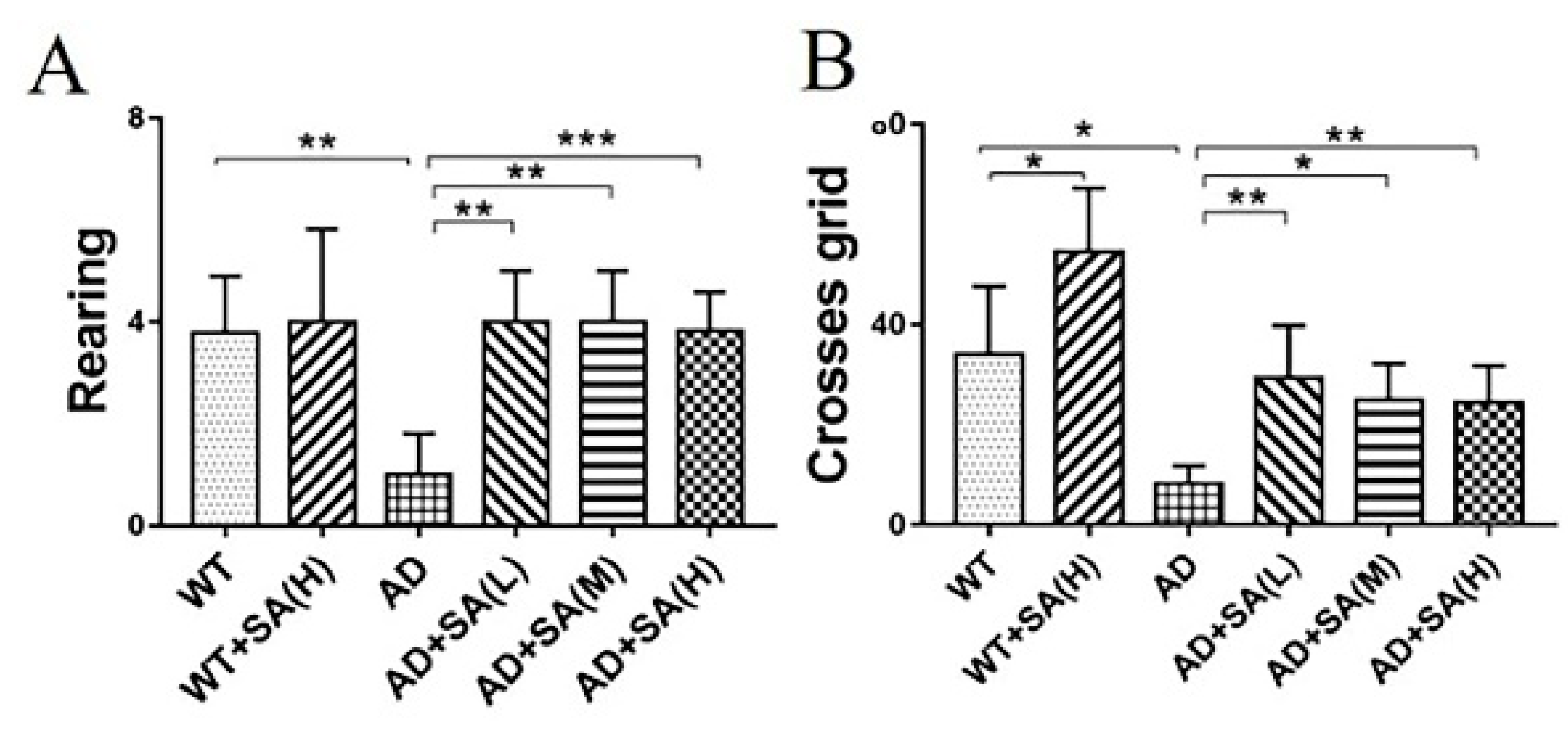 Neurosci 03 00002 g002
