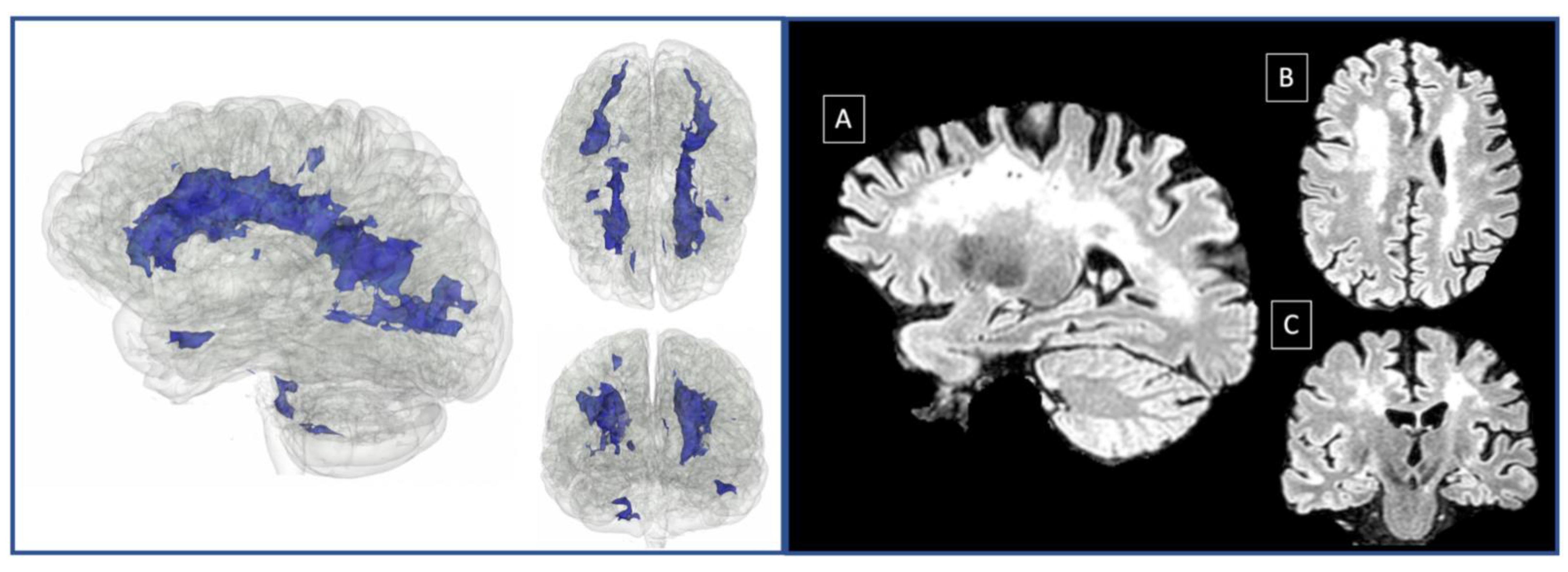 Neurosci 03 00010 g003