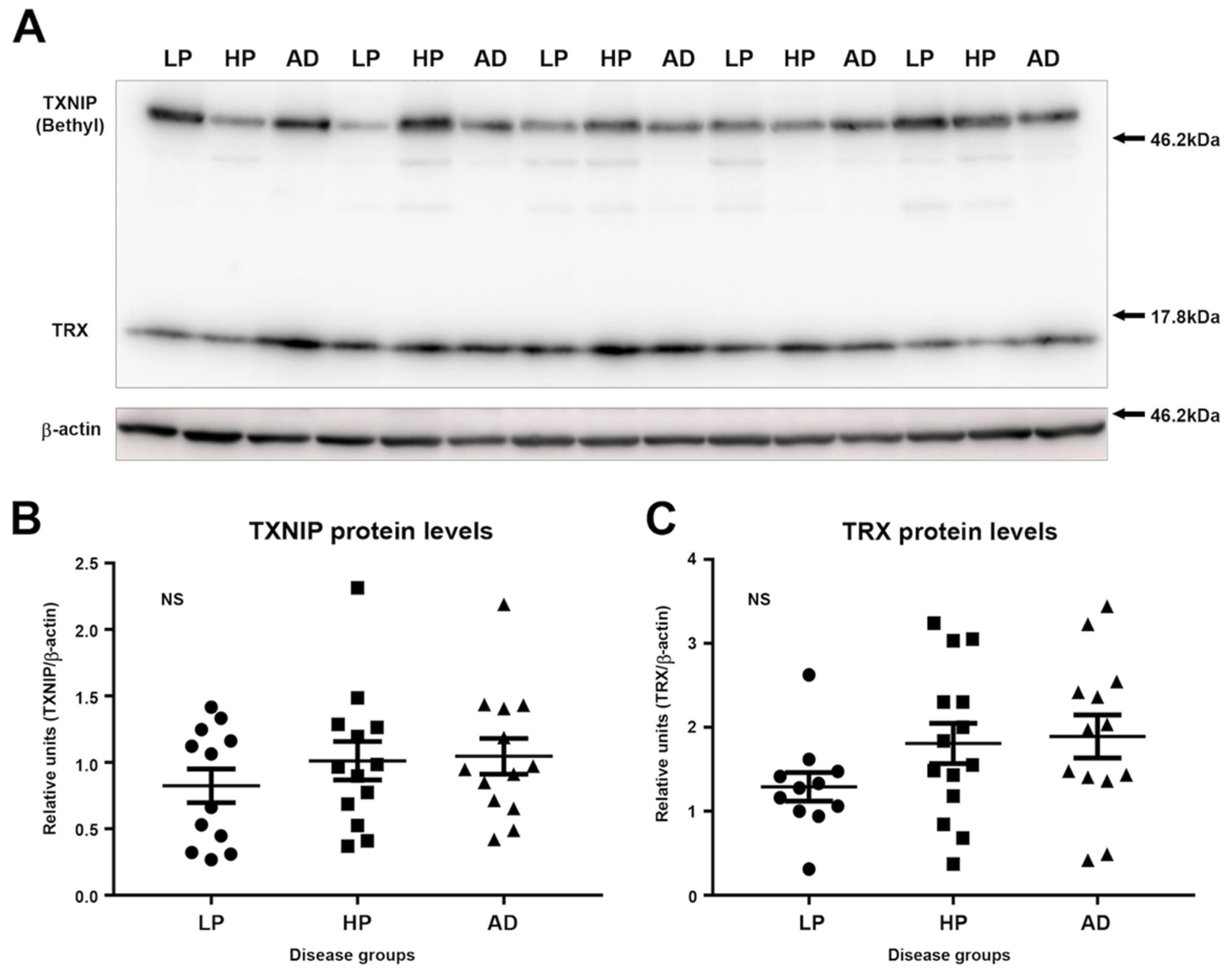 Neurosci 03 00013 g003