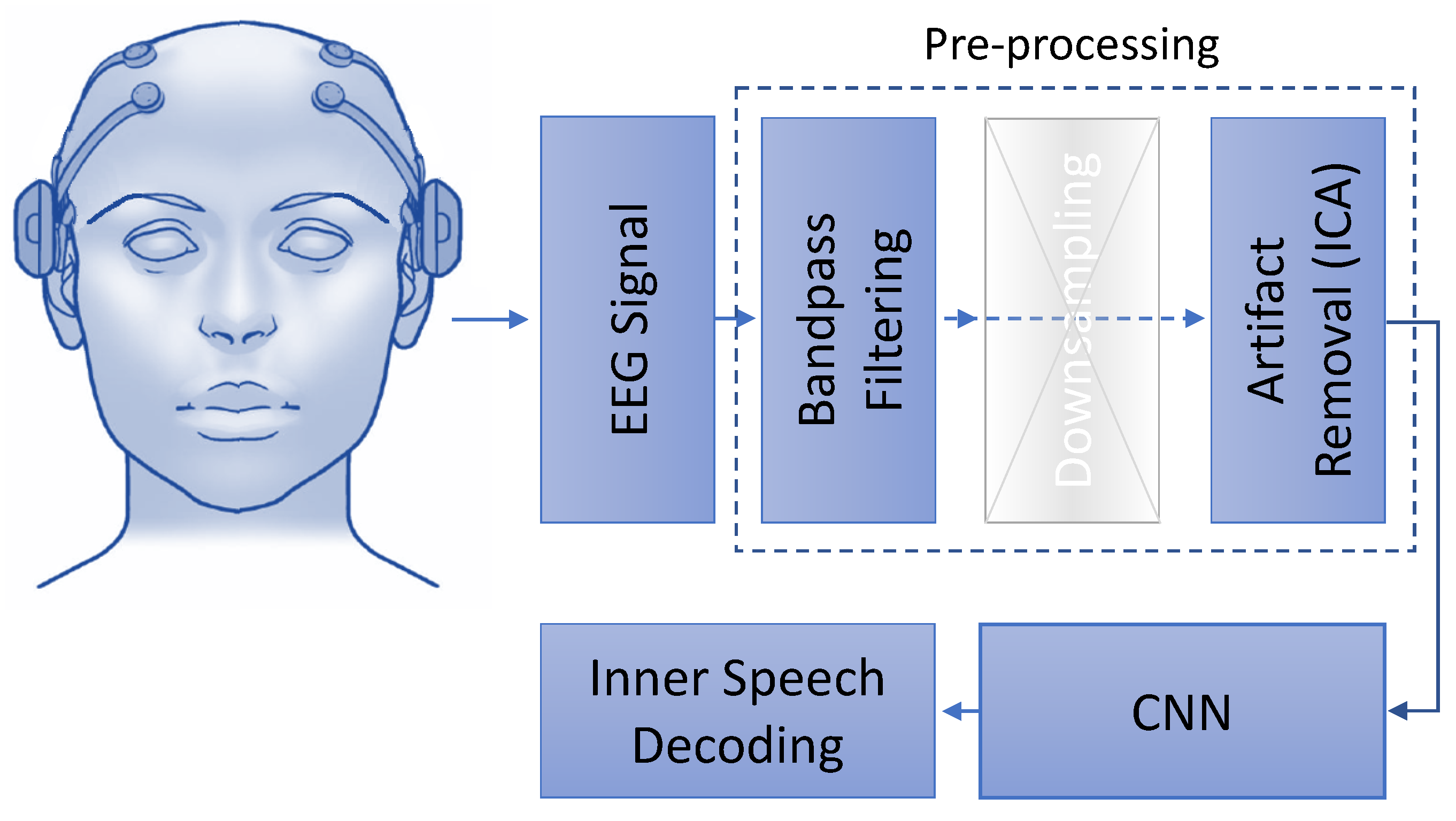 Neurosci 03 00017 g002