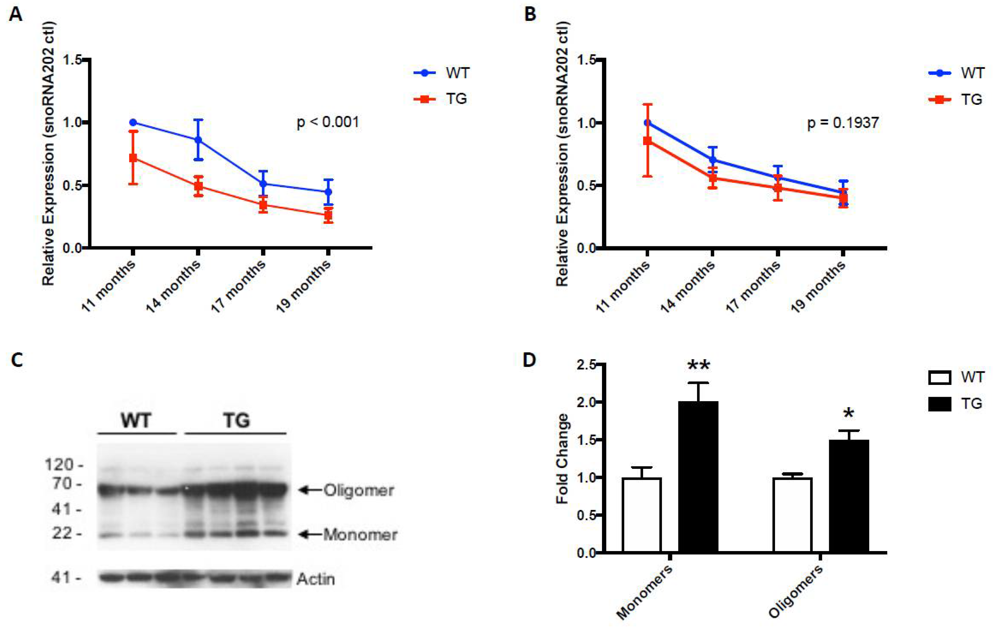 Neurosci 03 00020 g003