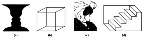 Neurosci 03 00039 g001