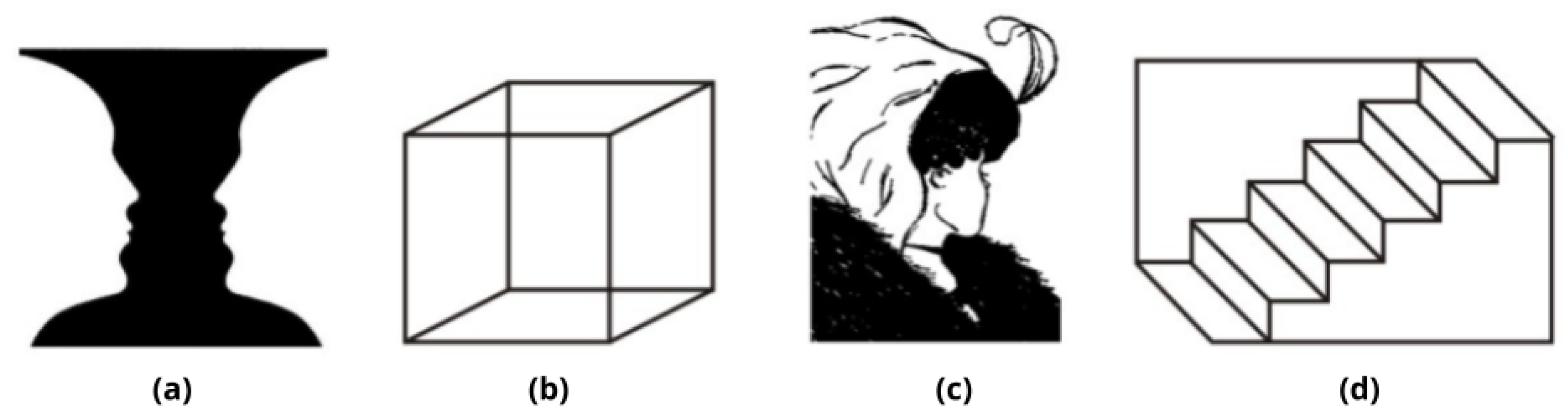 Neurosci 03 00039 g001