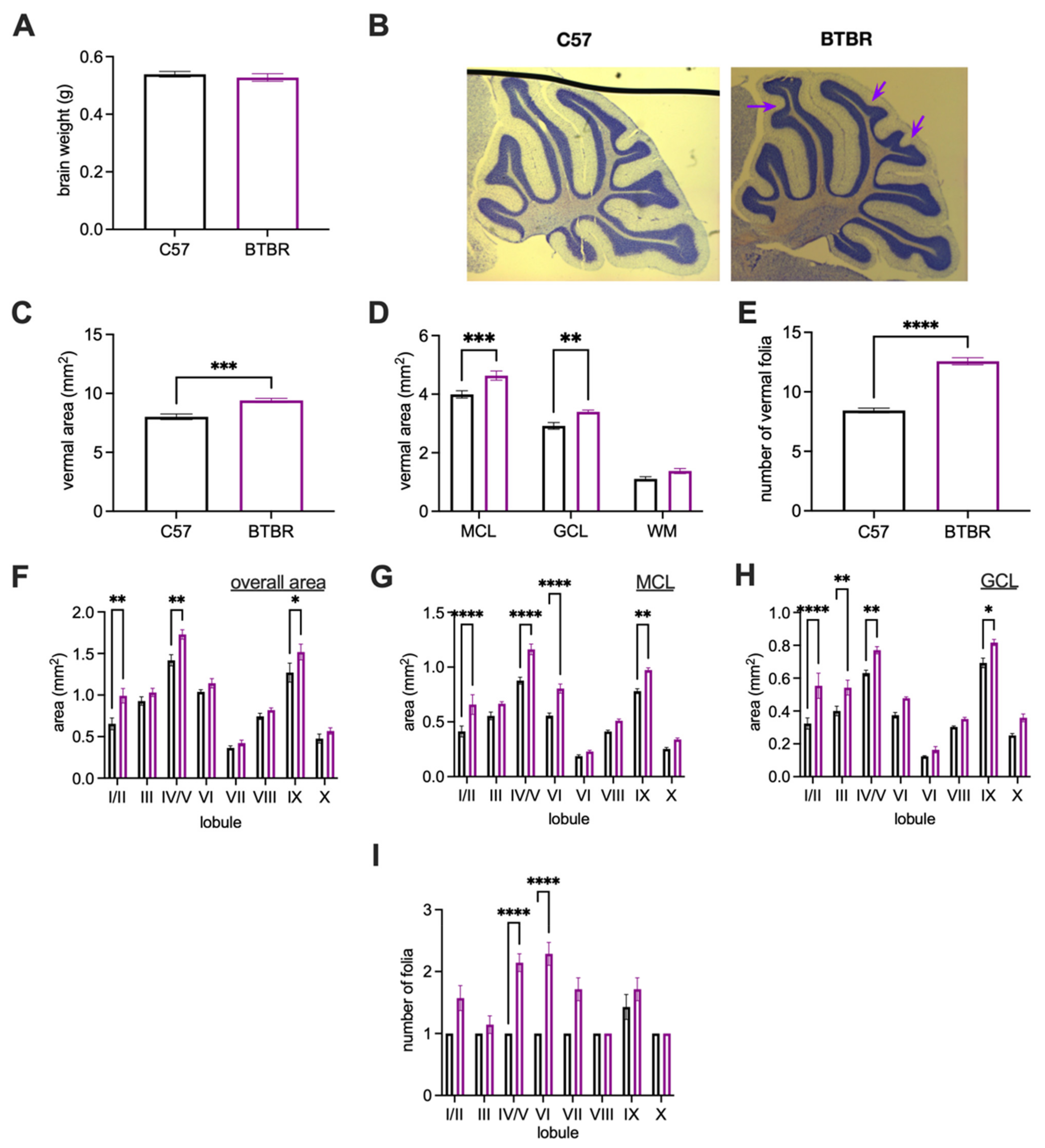 Neurosci 03 00045 g002