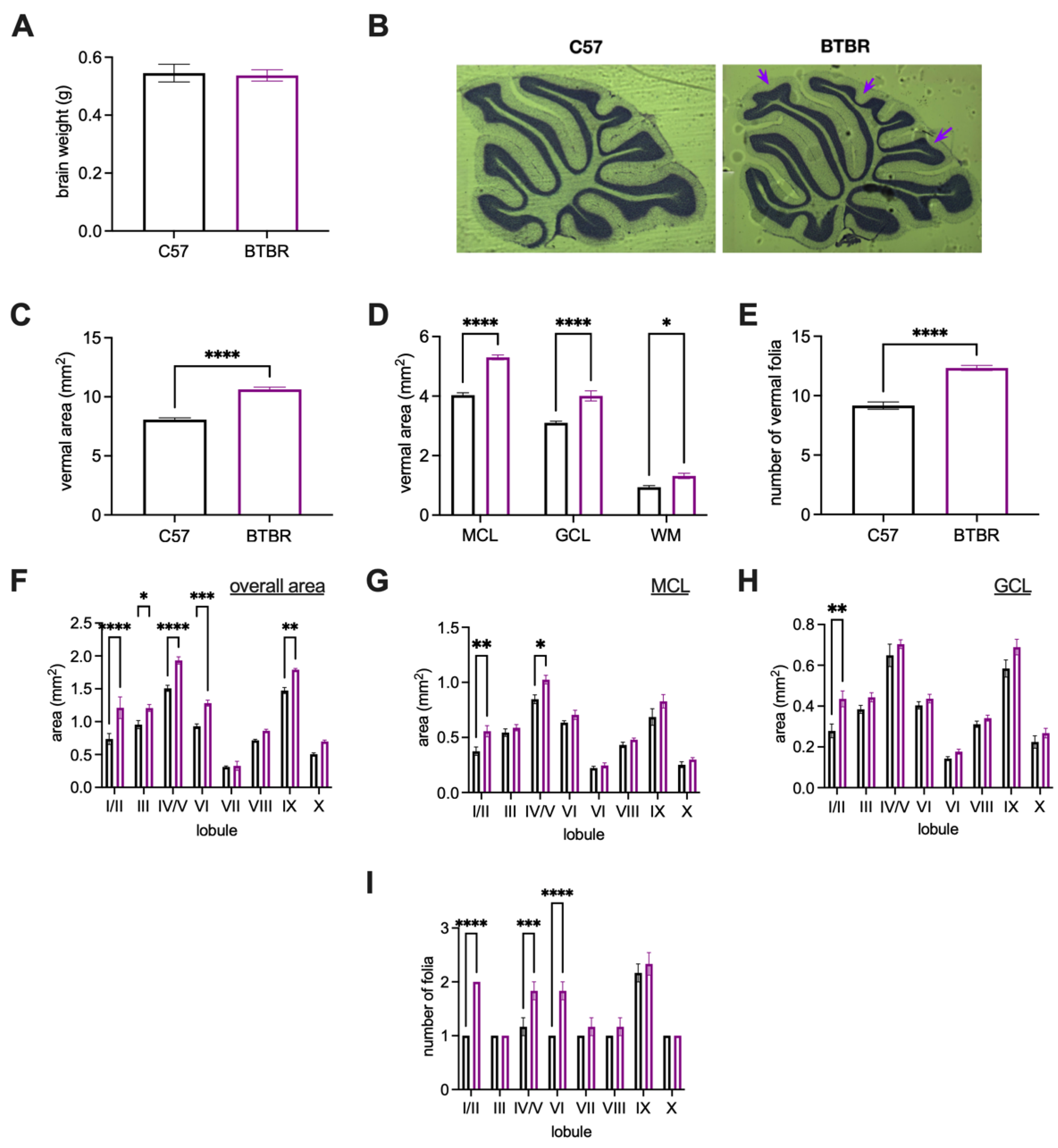Neurosci 03 00045 g003