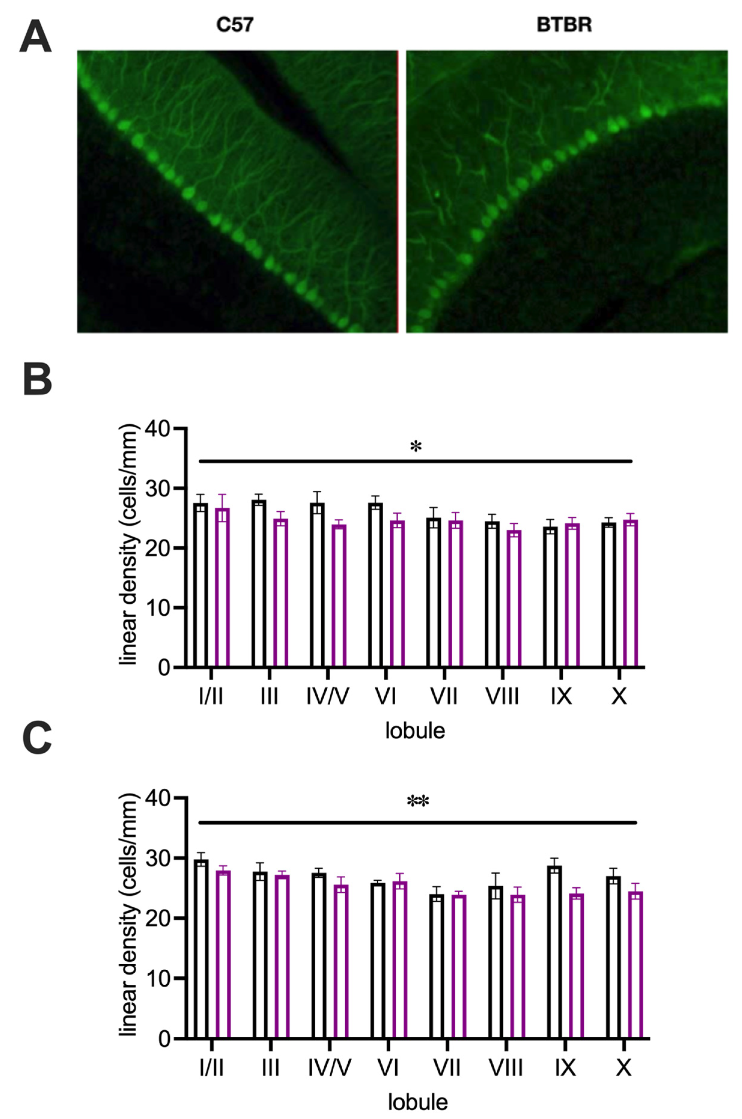 Neurosci 03 00045 g004