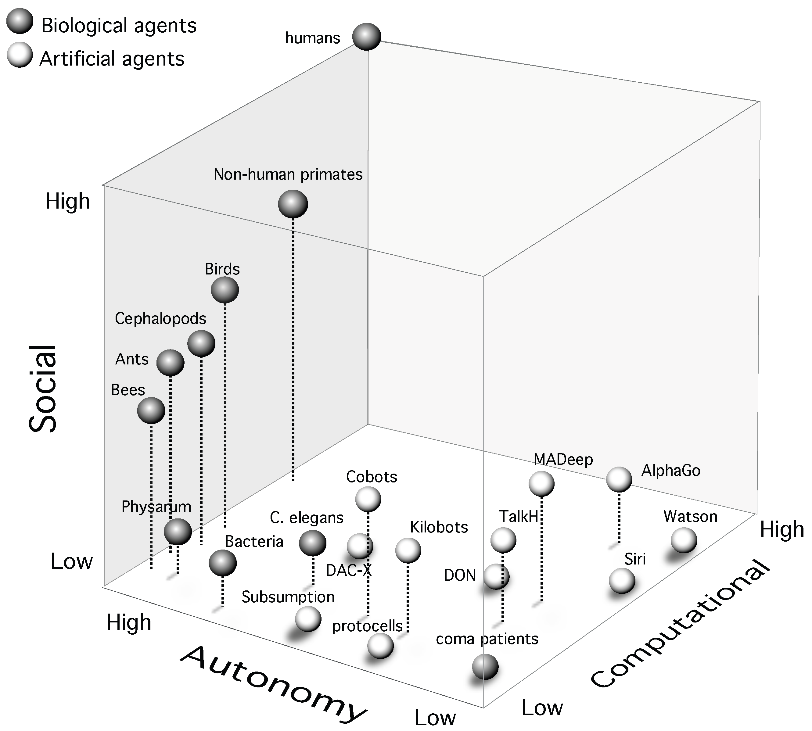 Neurosci 04 00009 g003