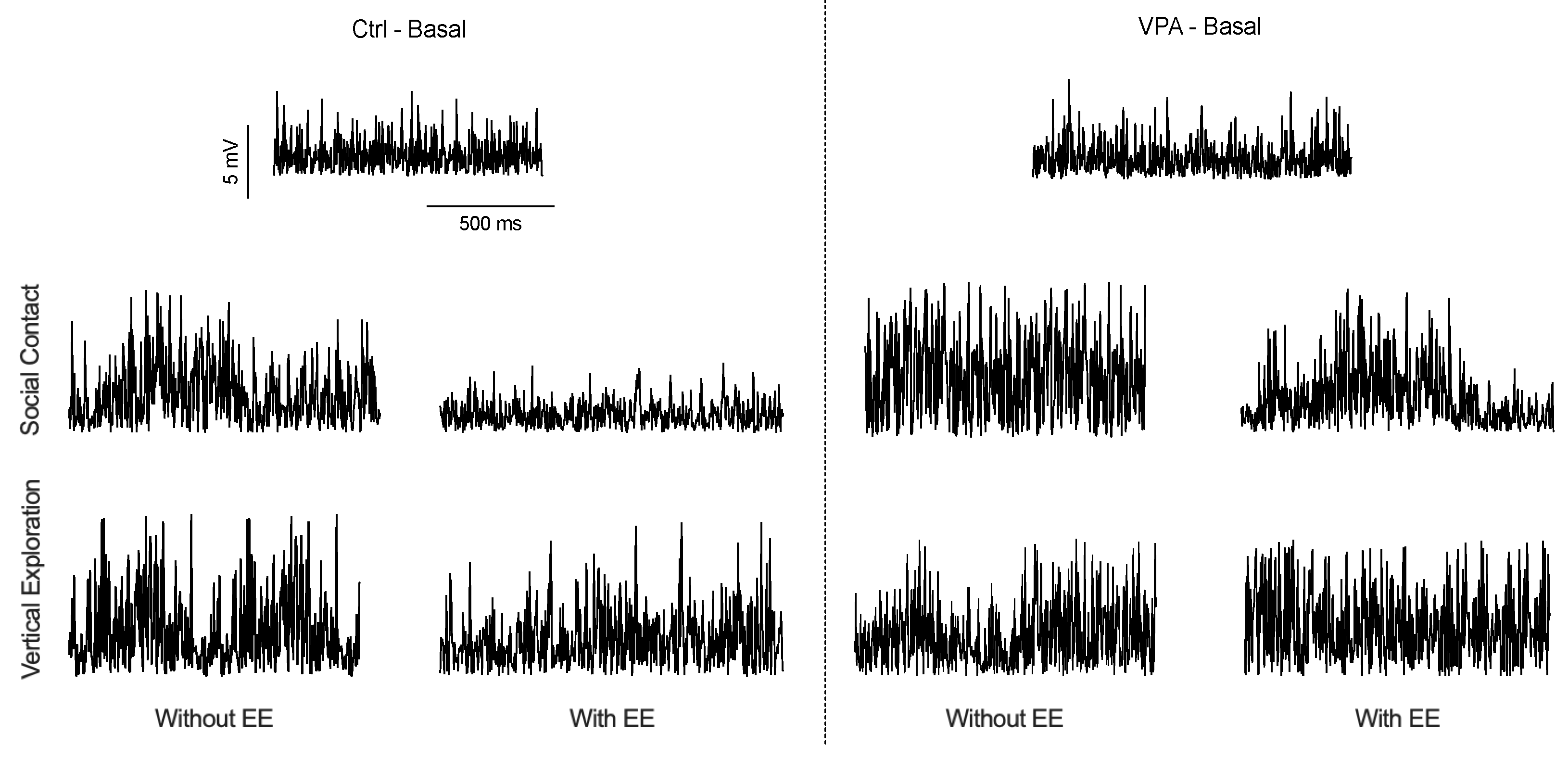 Neurosci 04 00016 g002