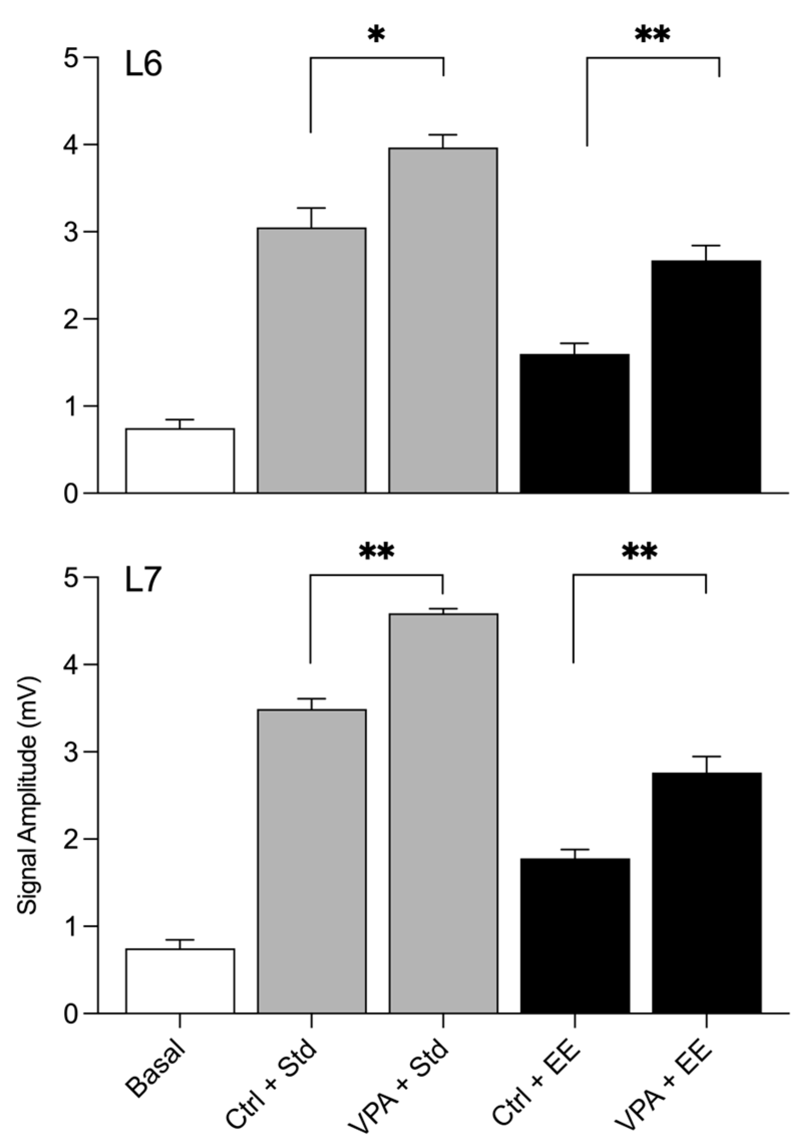 Neurosci 04 00016 g003