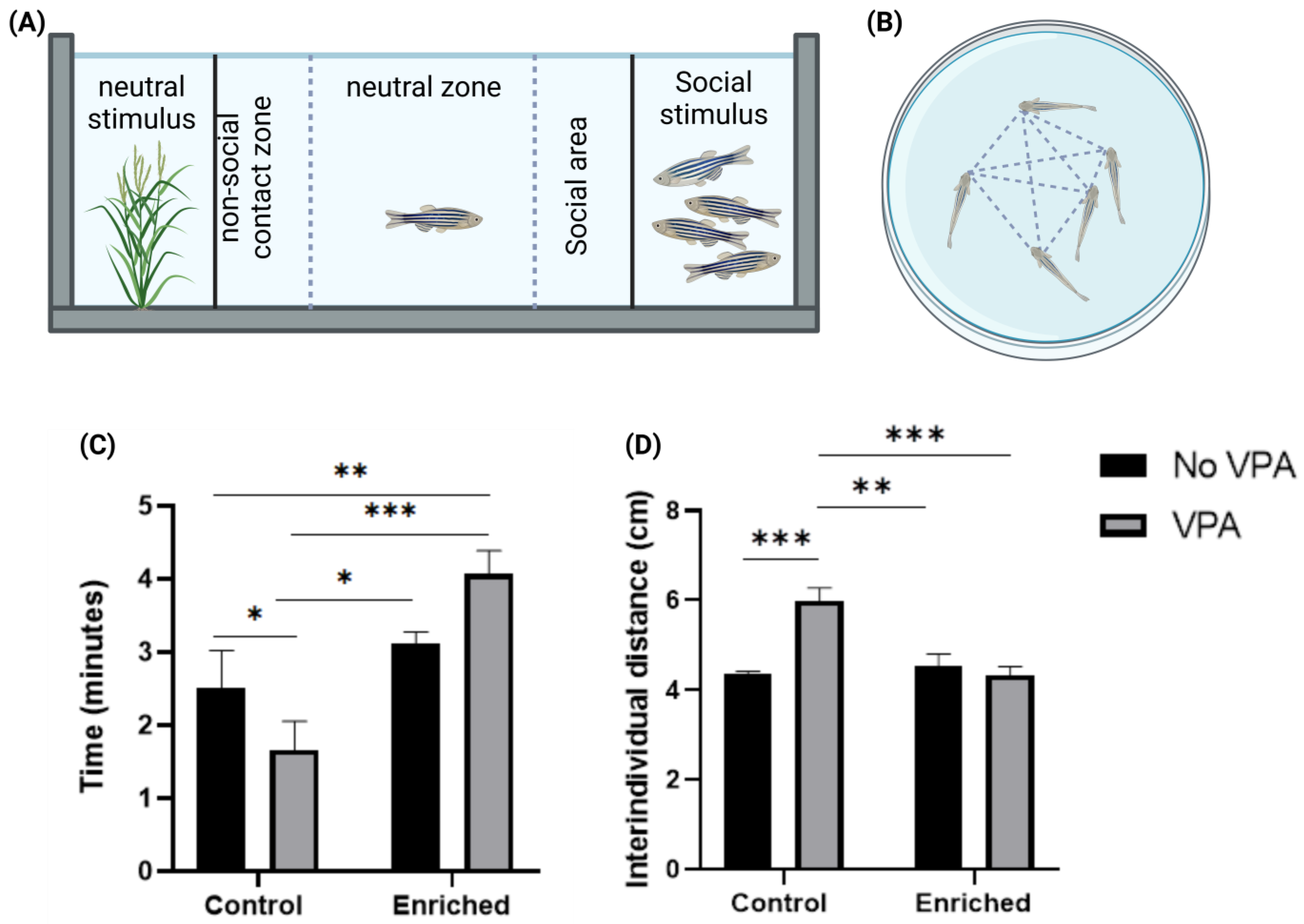 Neurosci 05 00009 g001
