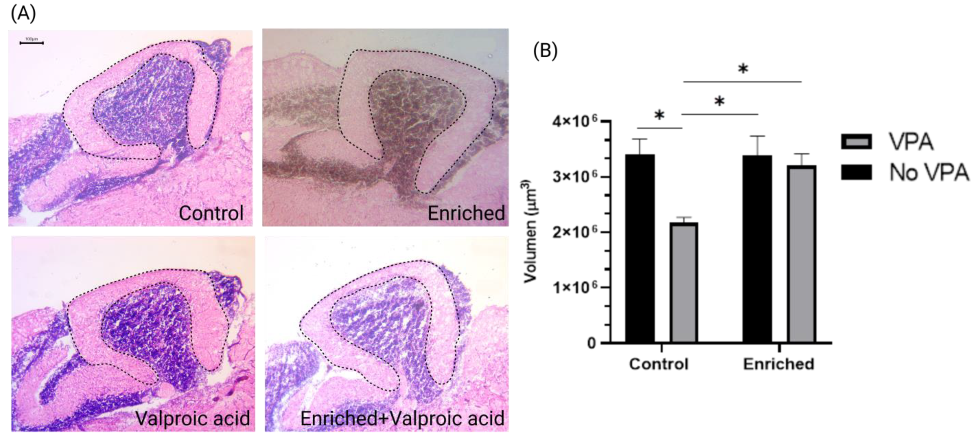 Neurosci 05 00009 g002