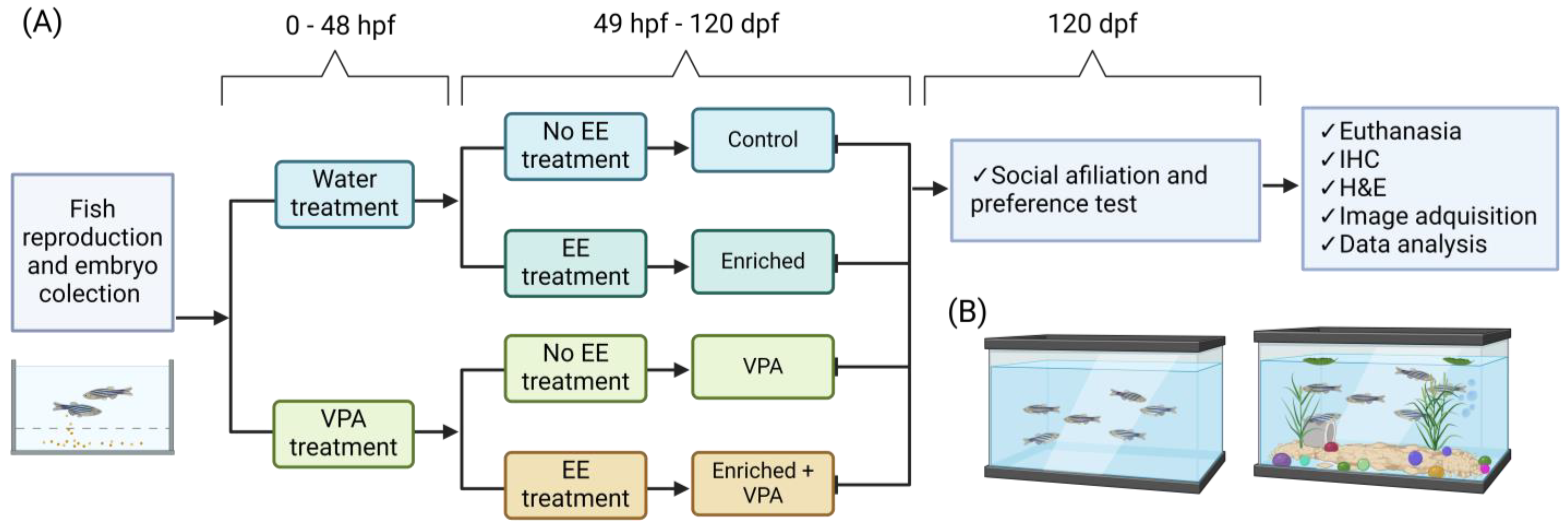 Neurosci 05 00009 g004