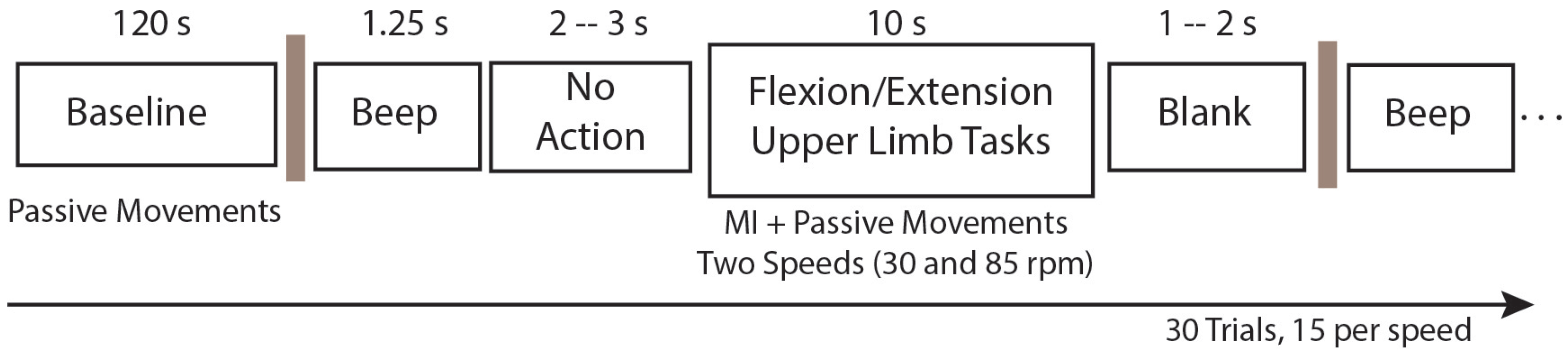 Neurosci 05 00012 g004