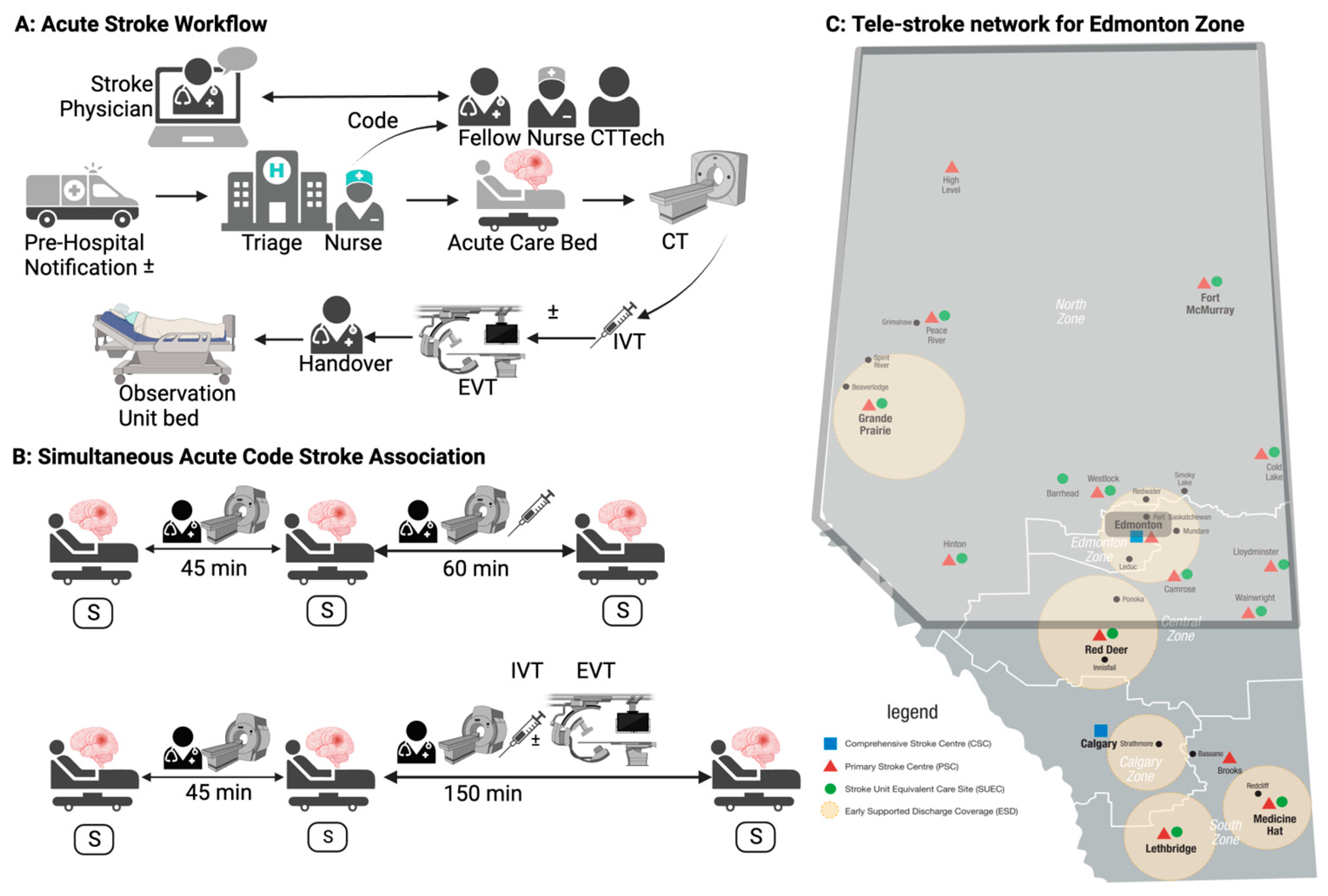 Neurosci 05 00023 g002