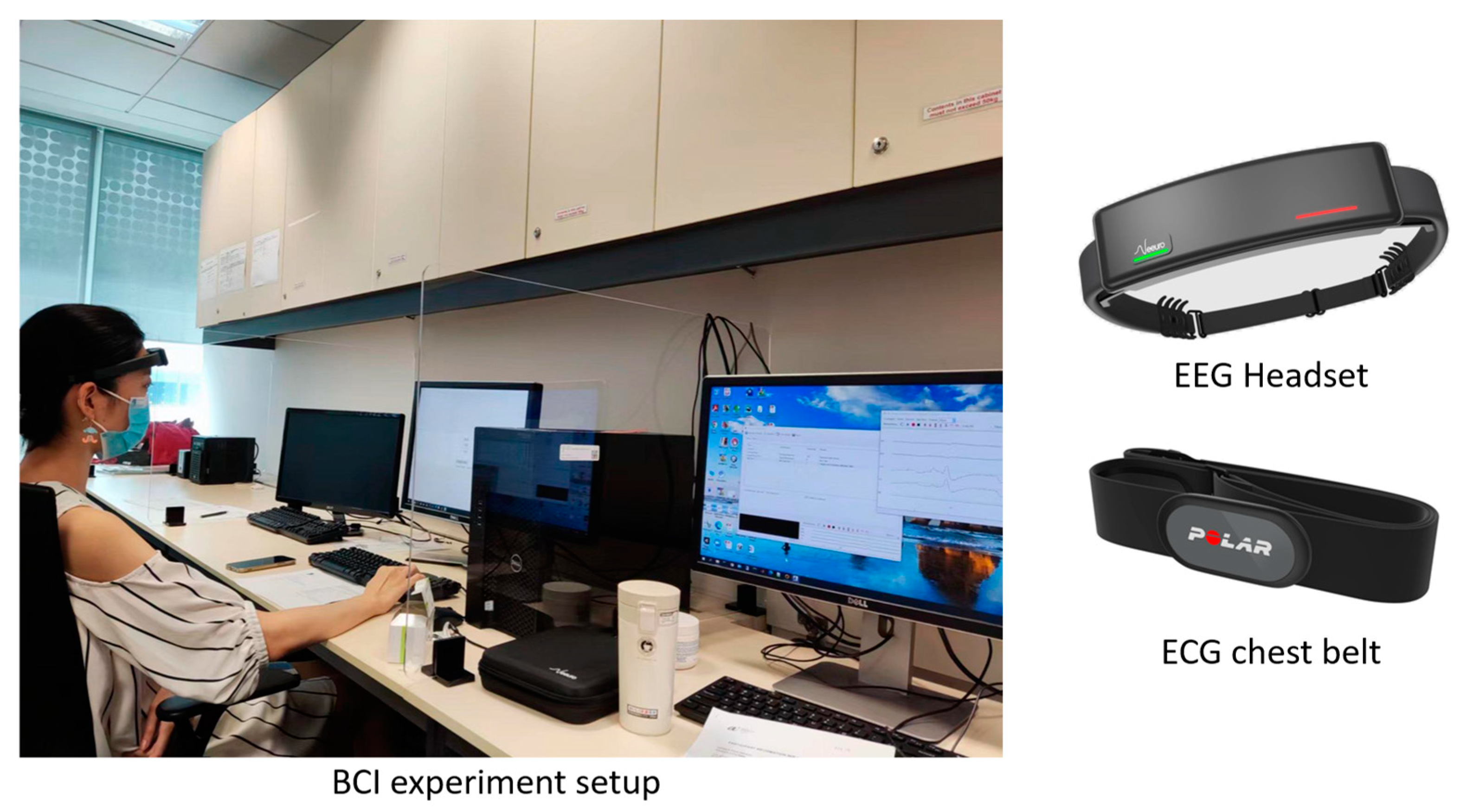 Neurosci 05 00031 g003