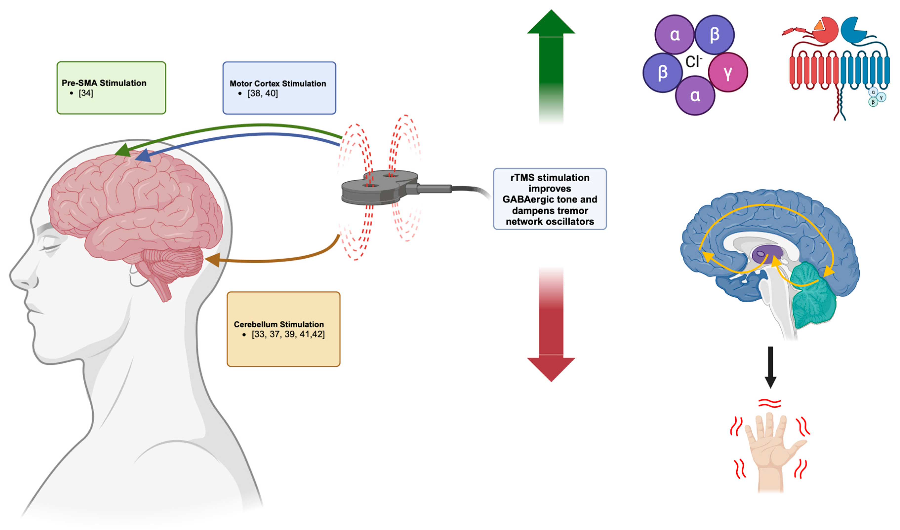 Neurosci 05 00038 g002