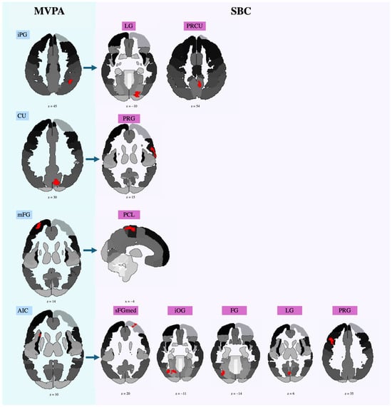 Neurosci 05 00040 g0a3