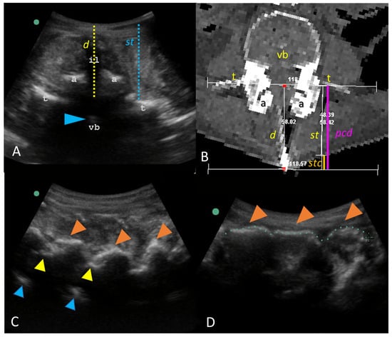 Neurosci 05 00044 g001