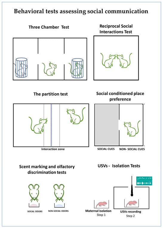 Neurosci 06 00027 g001