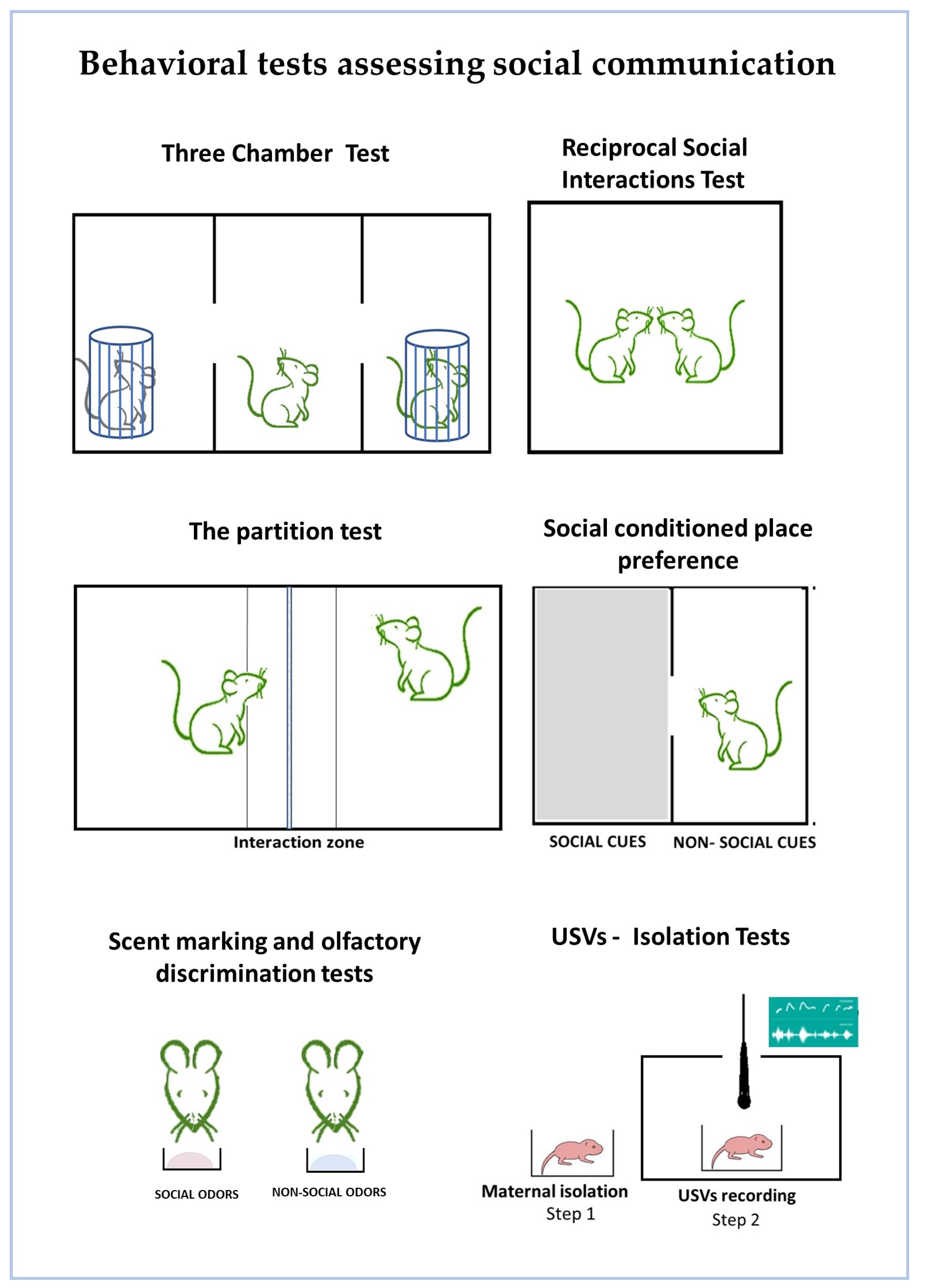 Neurosci 06 00027 g001