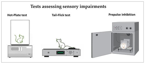 Neurosci 06 00027 g004