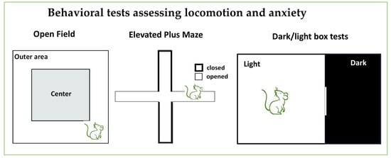 Neurosci 06 00027 g005