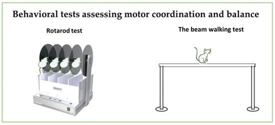 Neurosci 06 00027 g006