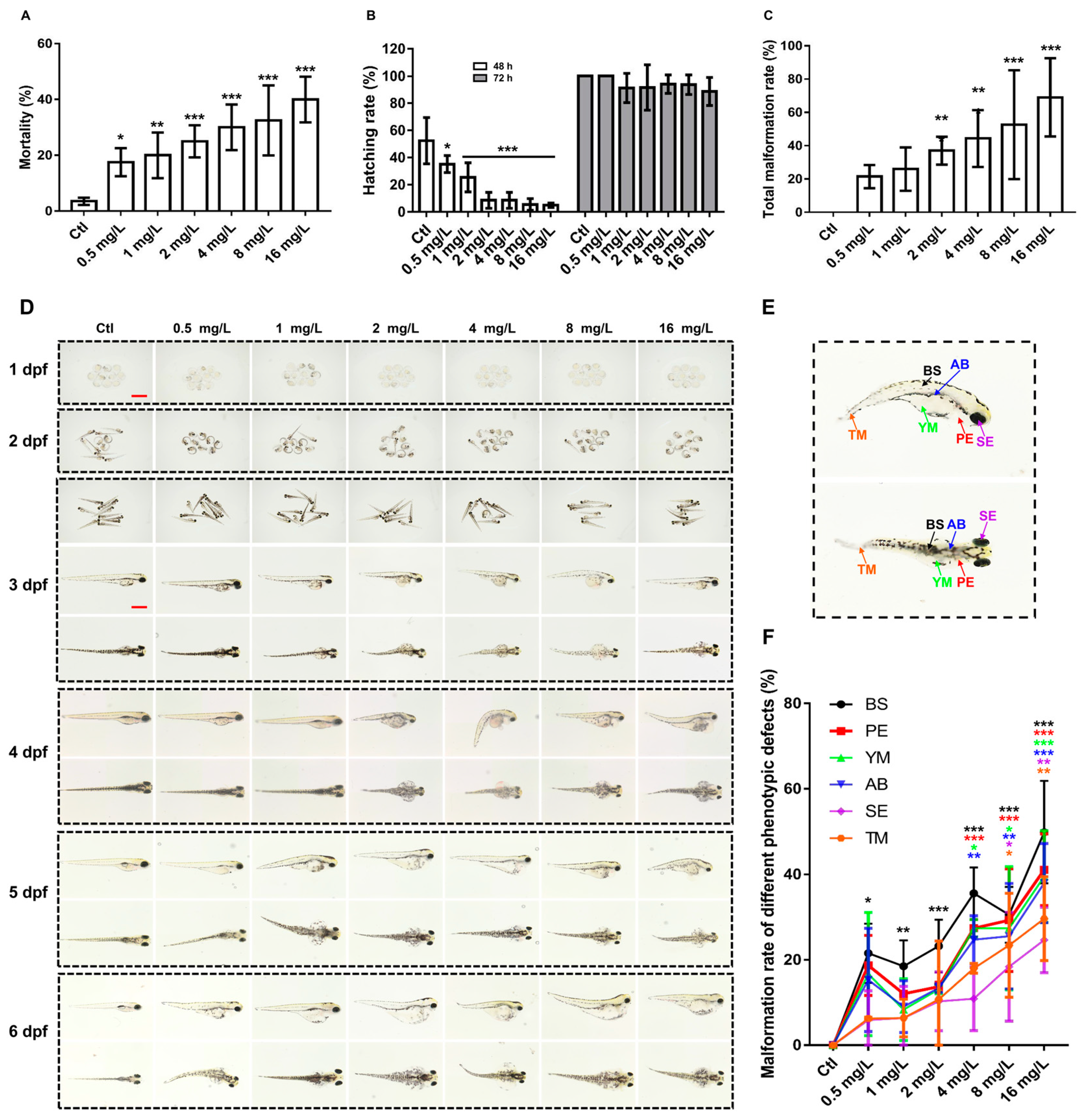 Neurosci 06 00028 g001