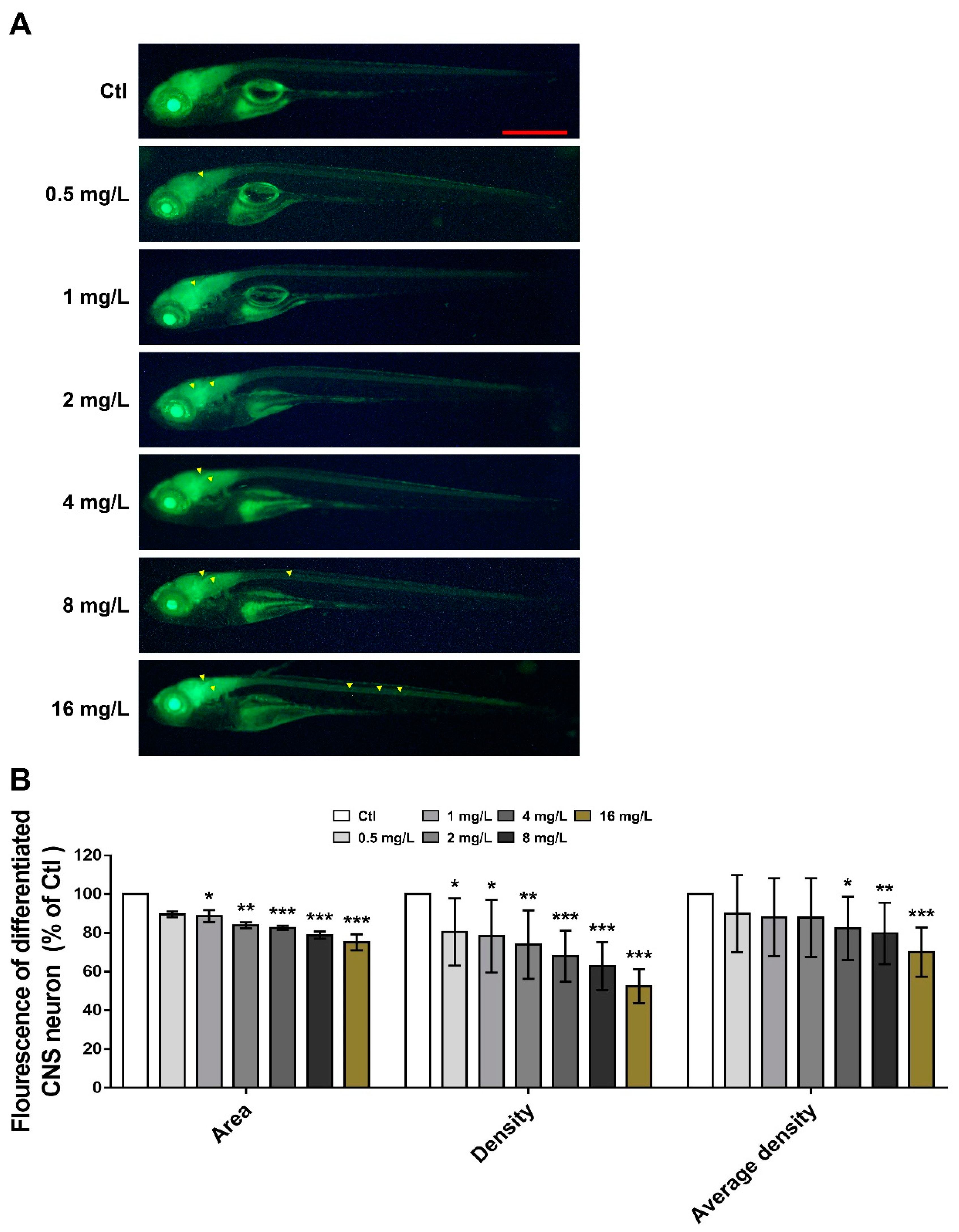 Neurosci 06 00028 g002