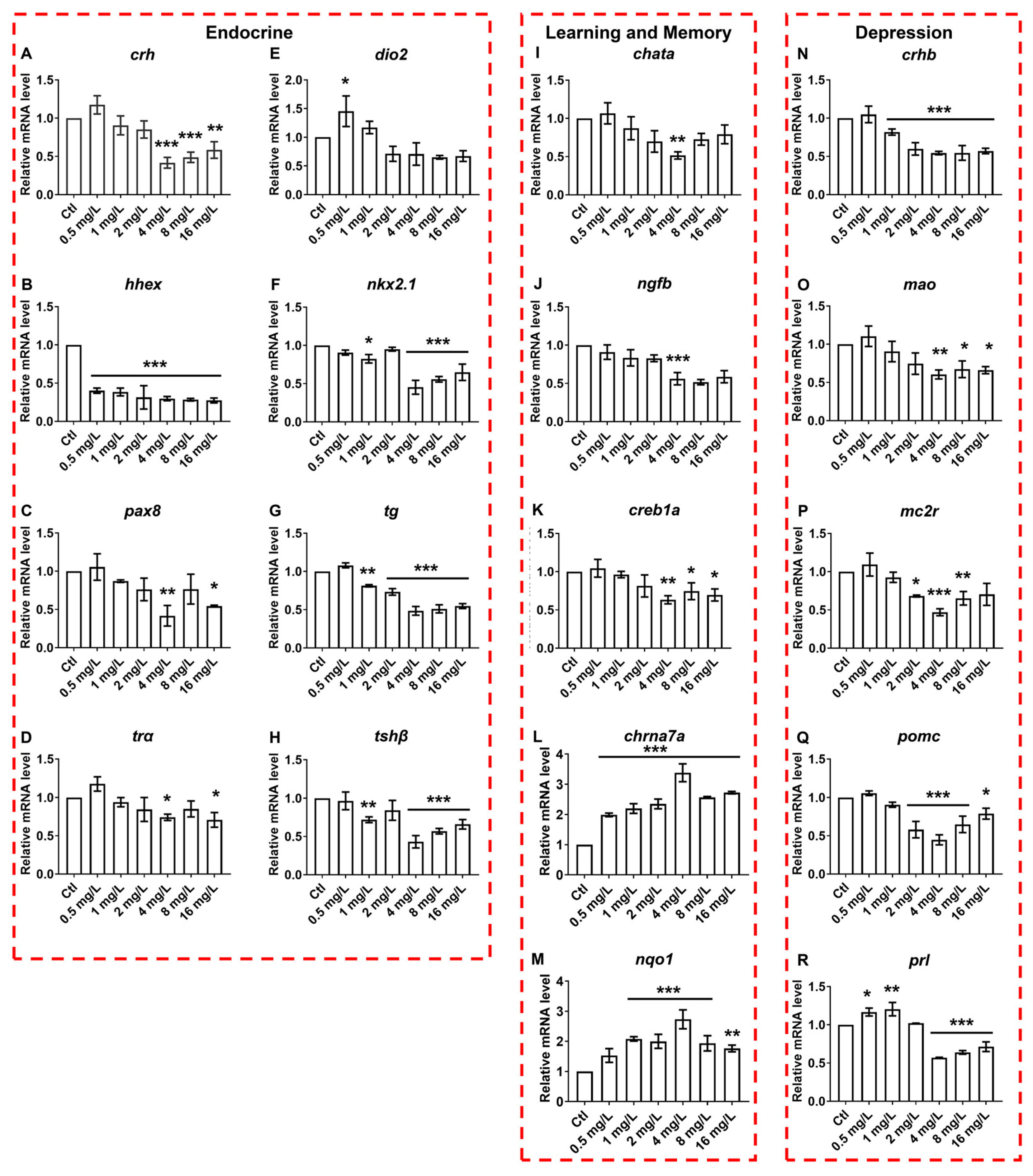 Neurosci 06 00028 g006