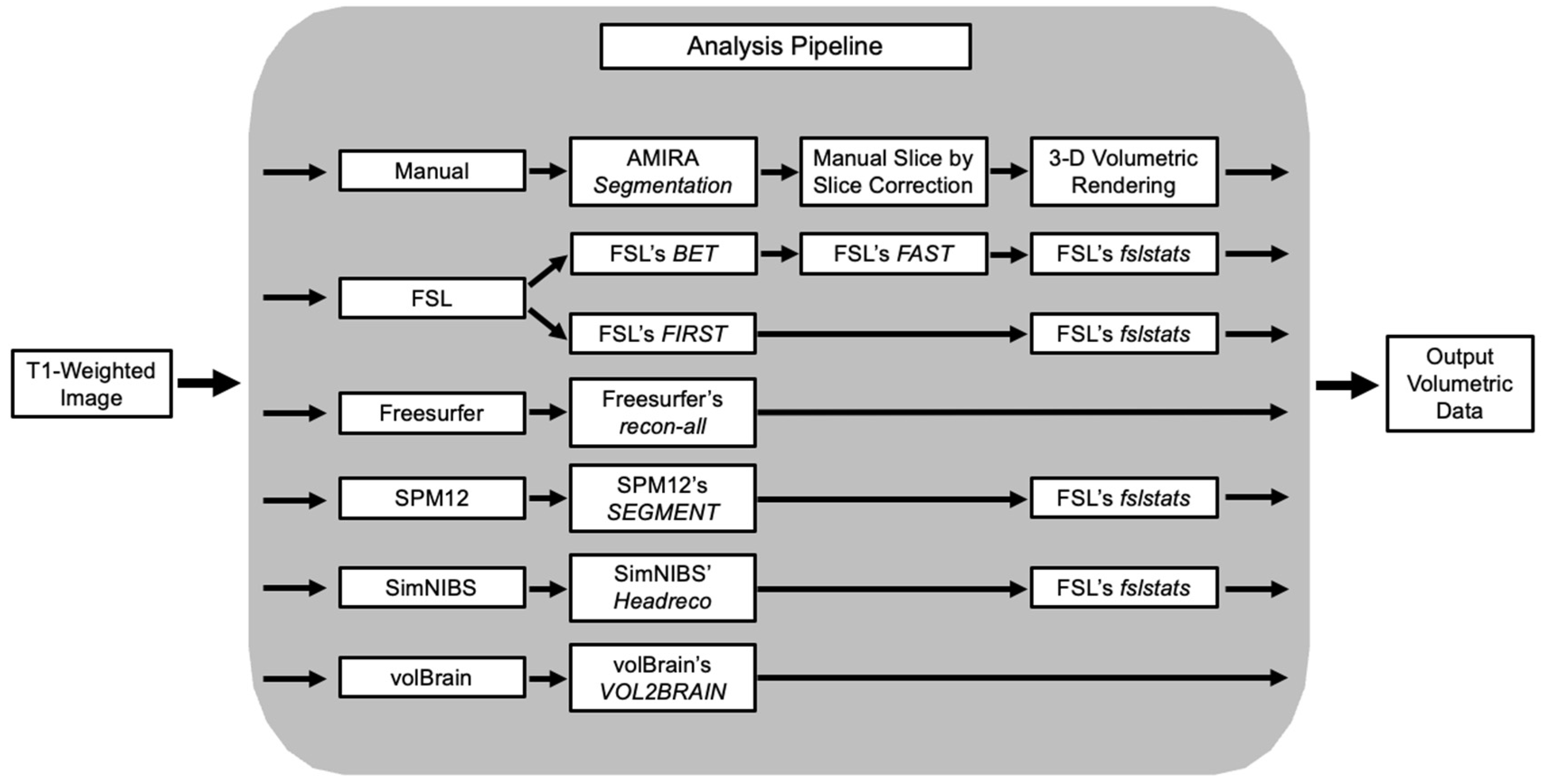 Neurosci 06 00031 g001
