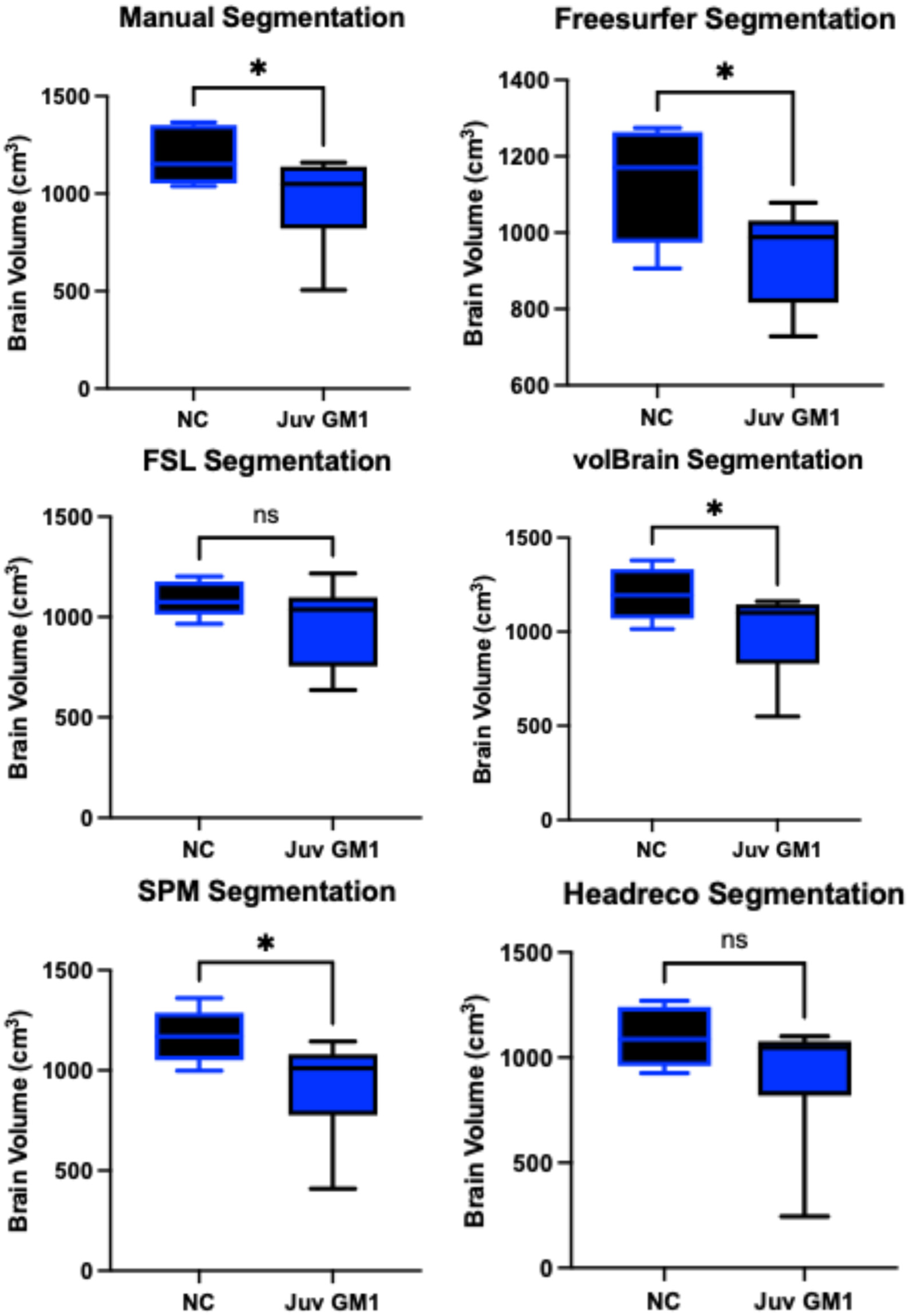 Neurosci 06 00031 g004