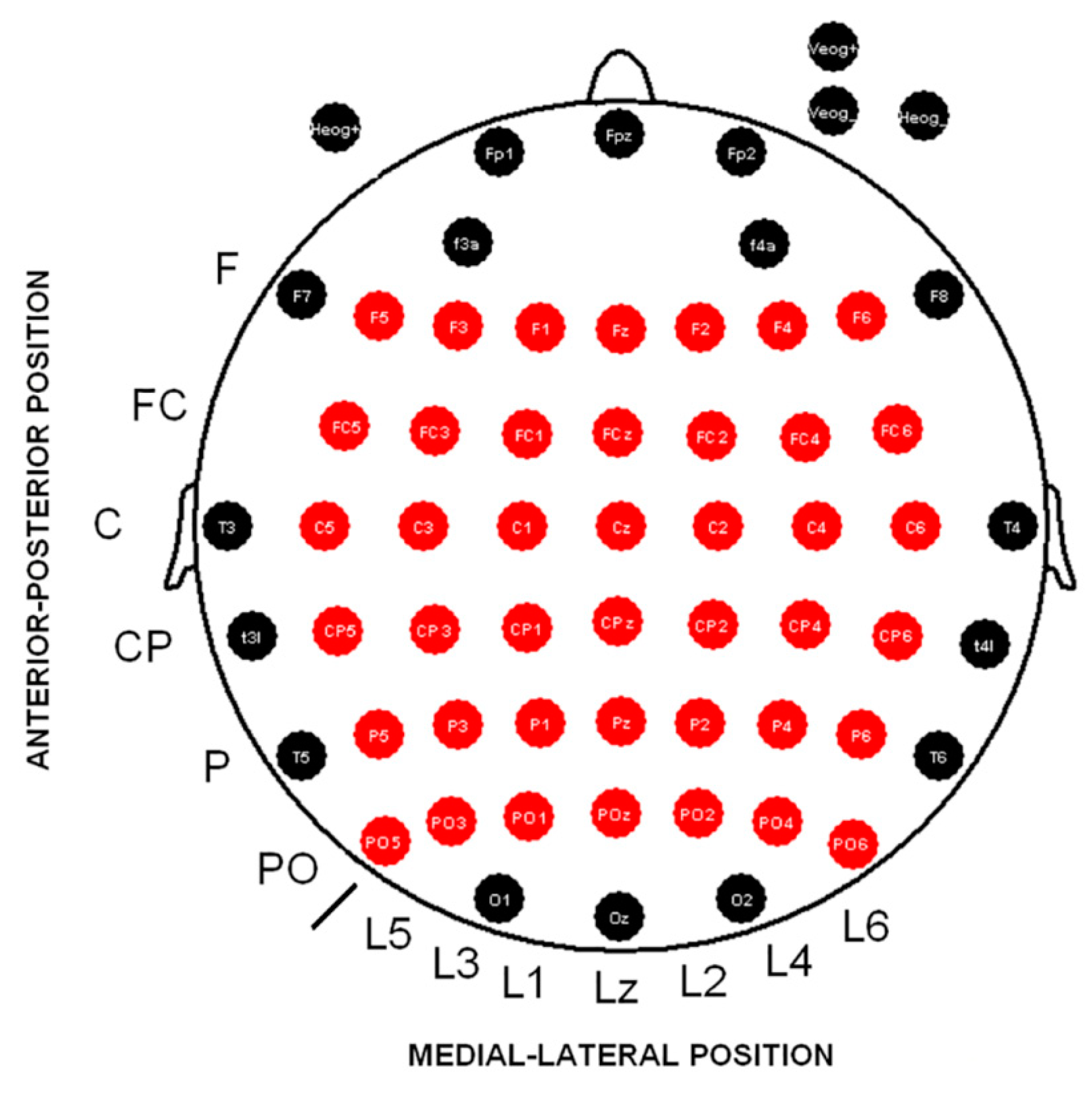 Neurosci 06 00032 g001