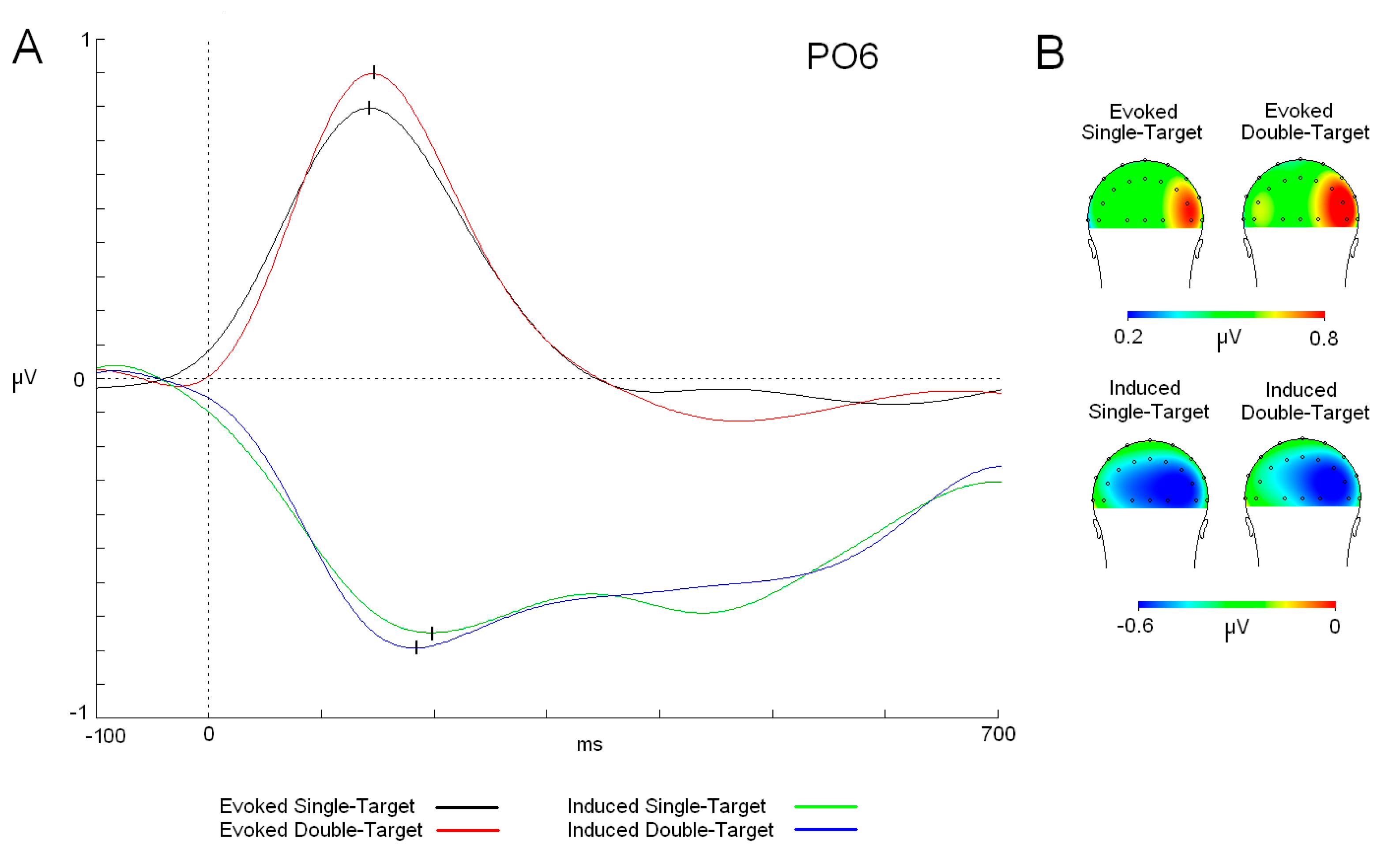 Neurosci 06 00032 g003