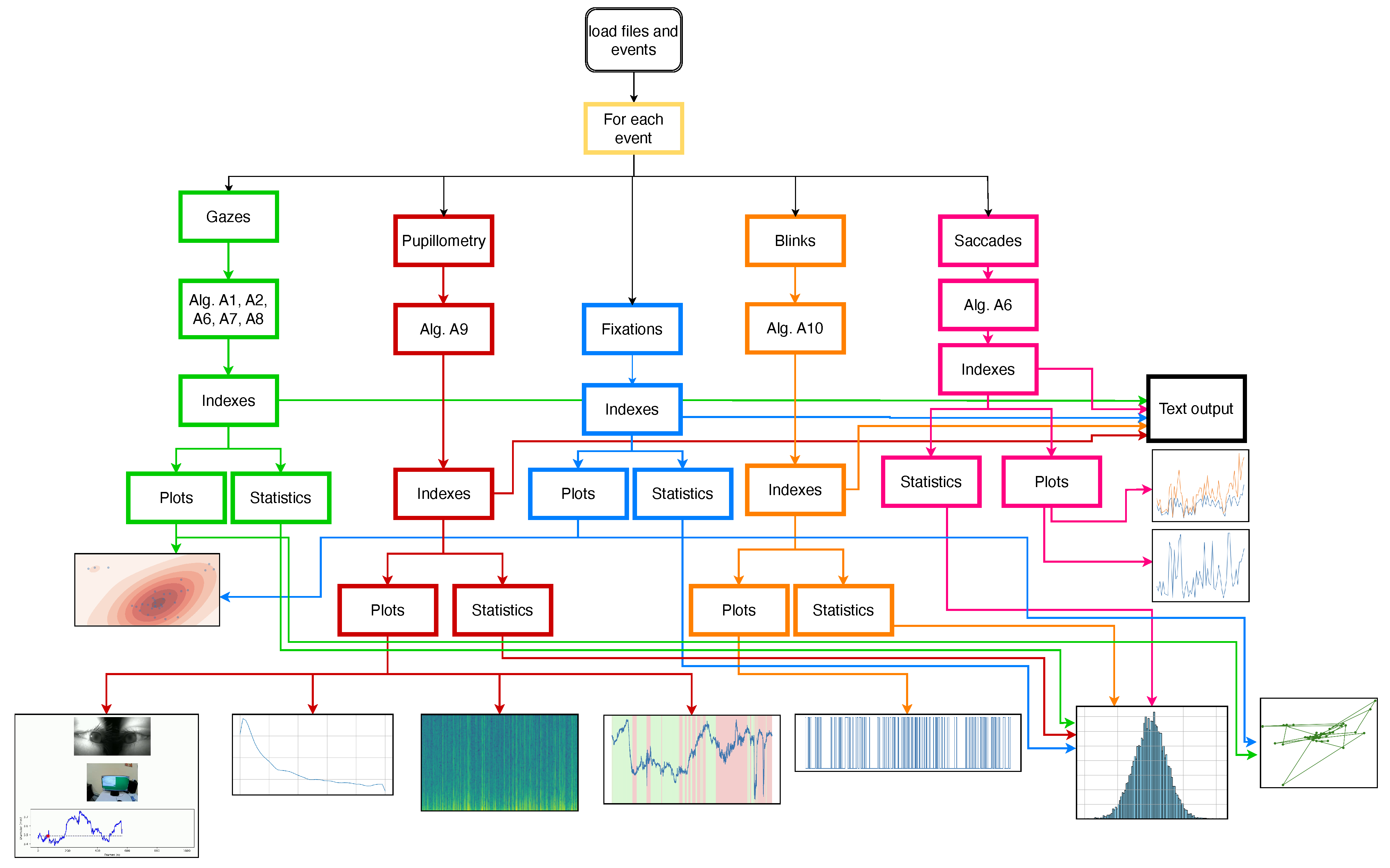 Neurosci 06 00035 g001