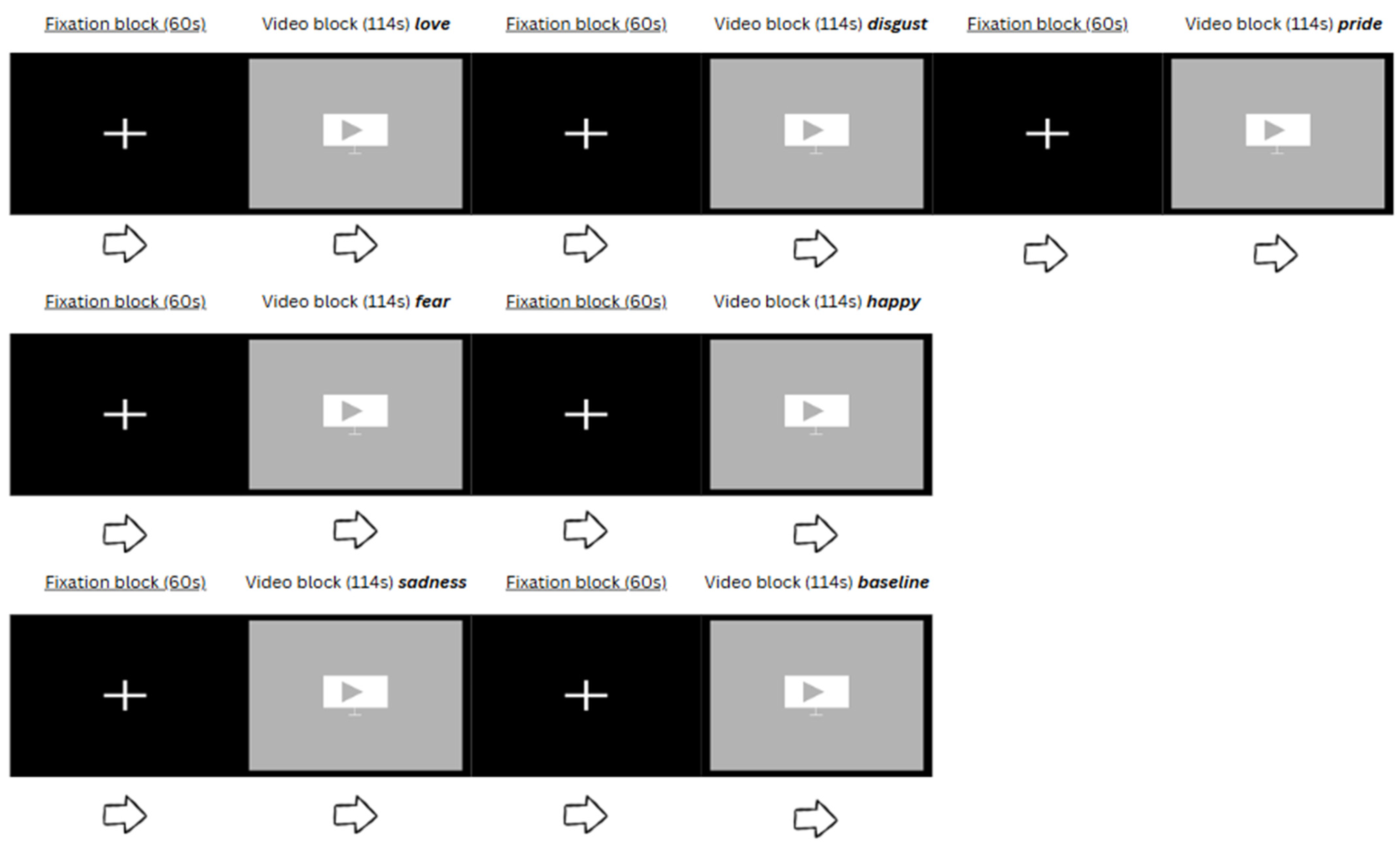 Neurosci 06 00055 g002
