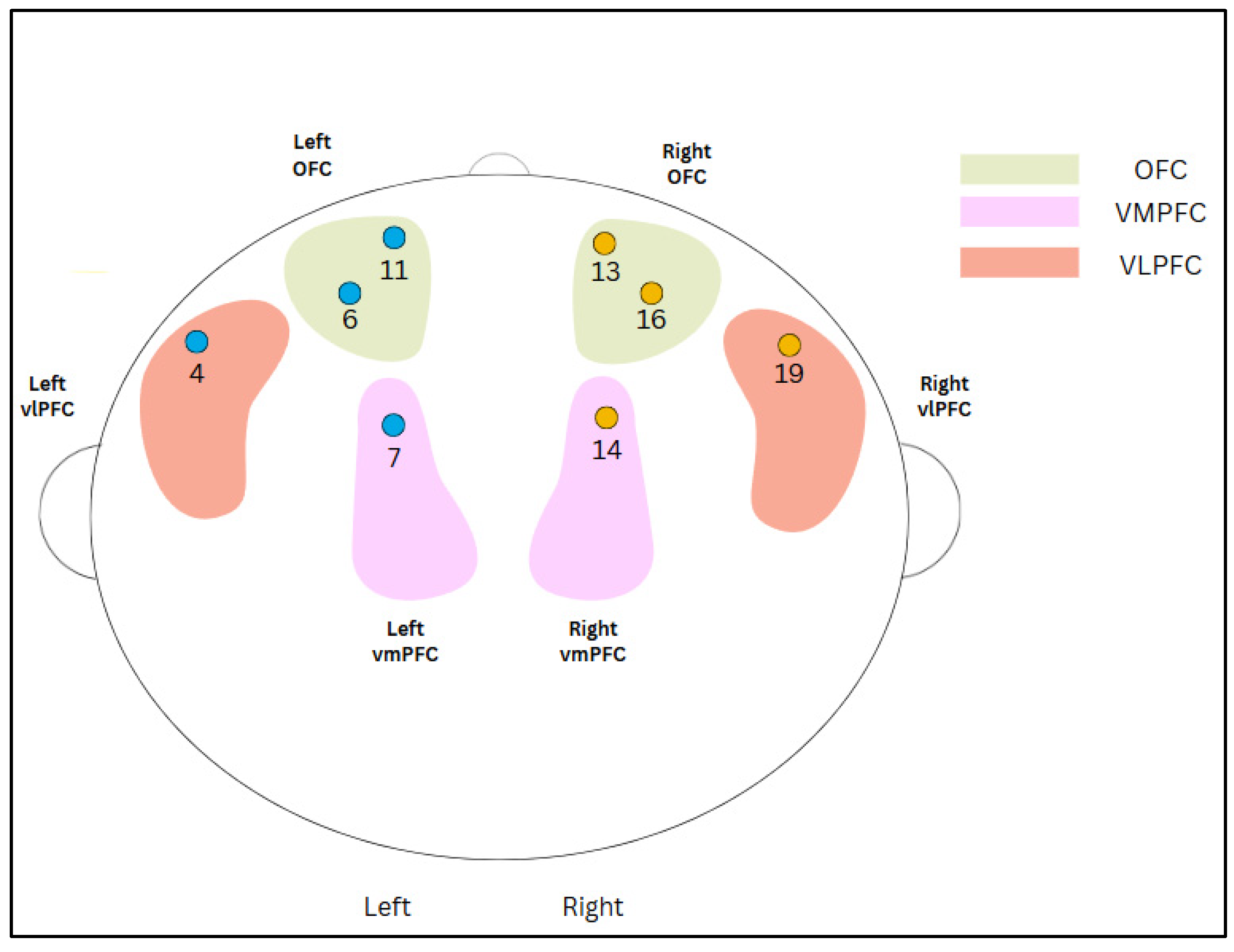 Neurosci 06 00055 g003
