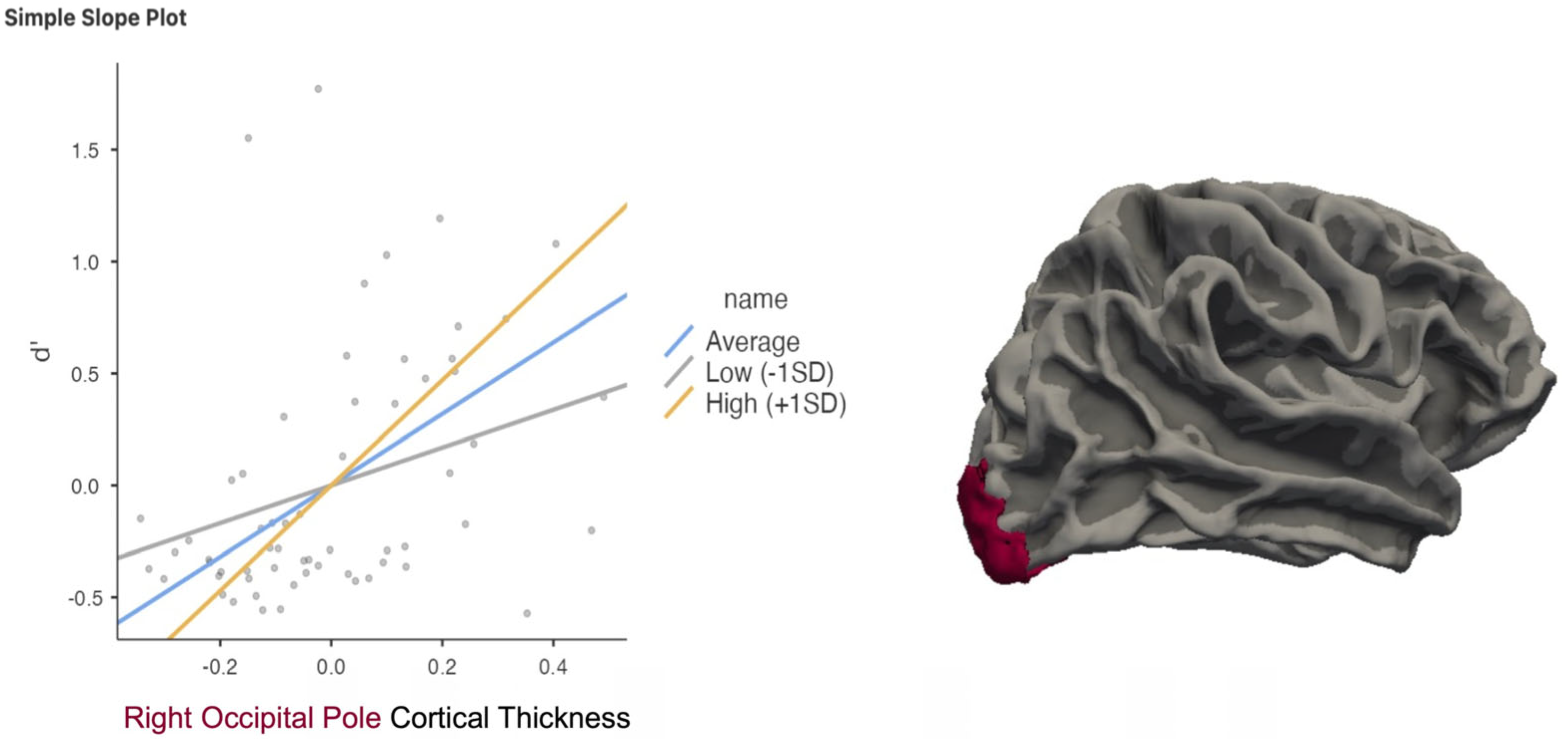 Neurosci 06 00068 g006 Neurosci 06 00068 g006