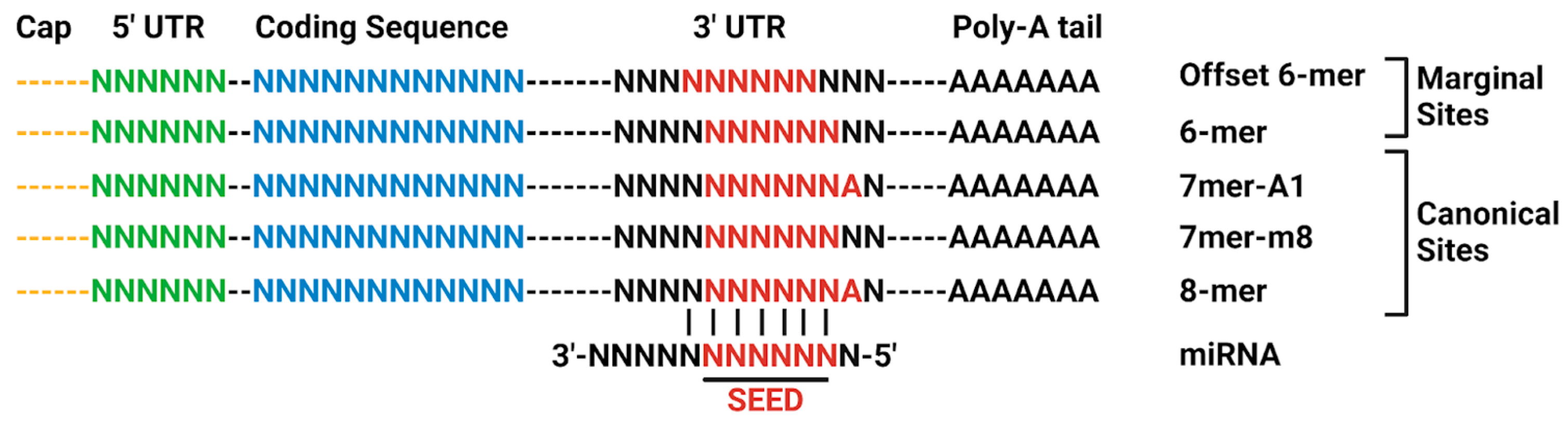 Neurosci 06 00075 g003