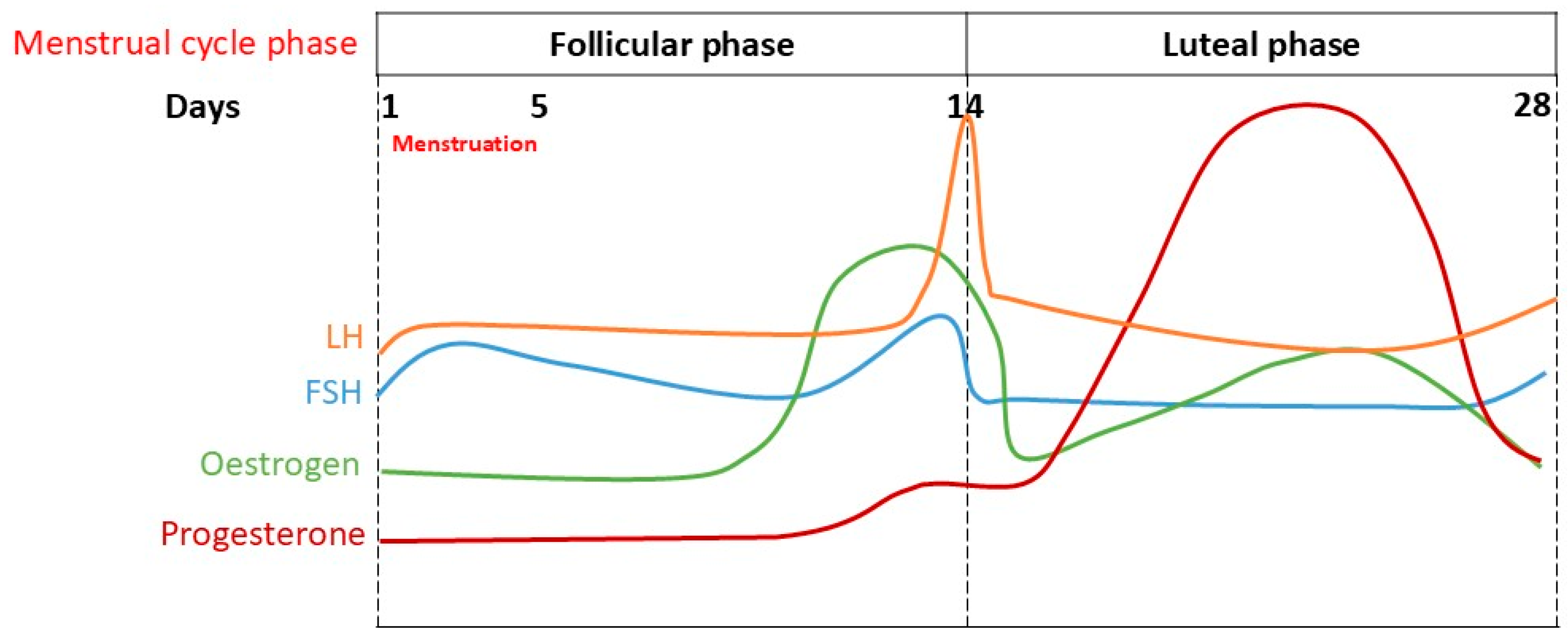 Neurosci 06 00078 g001