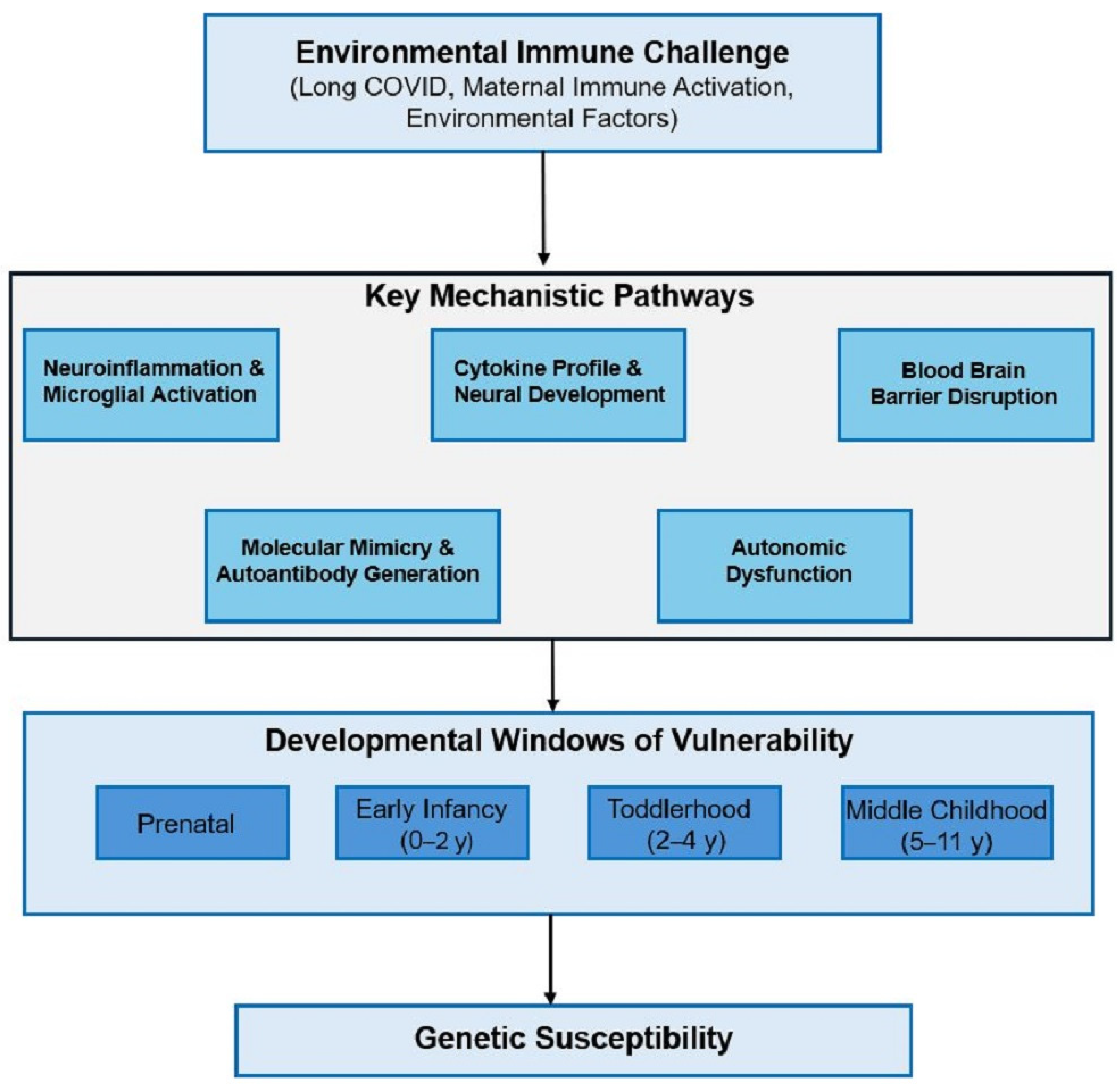 Neurosci 06 00080 g001