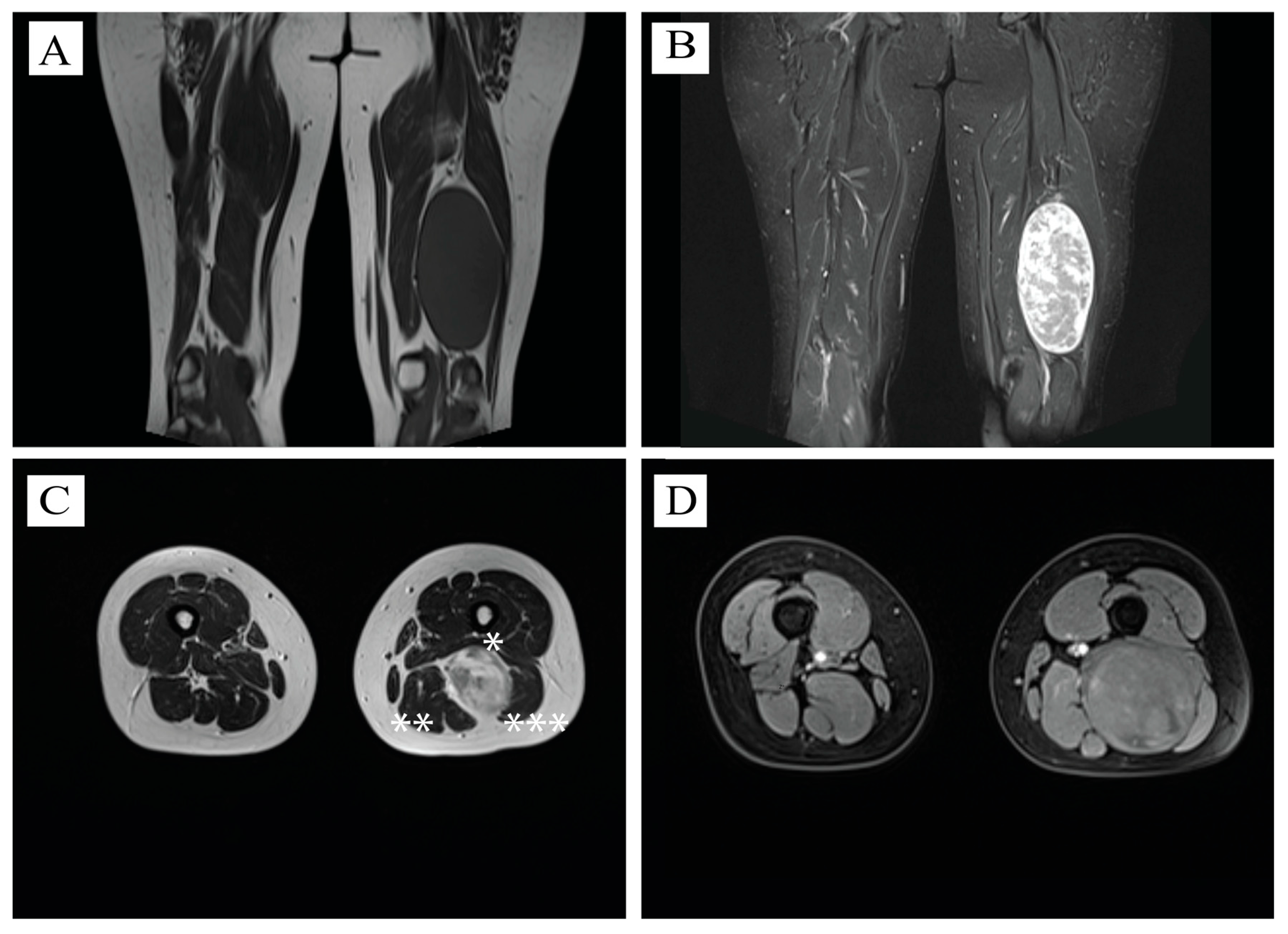 Neurosci 06 00095 g001