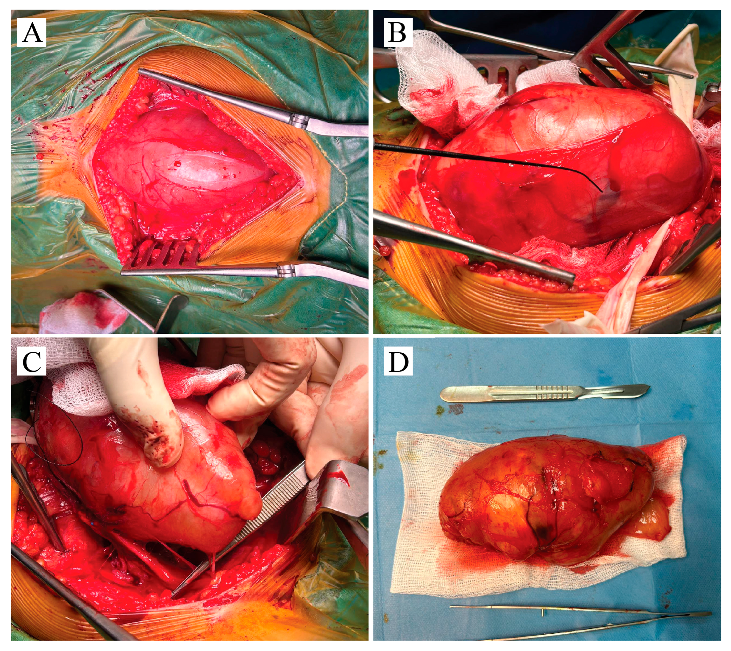 Neurosci 06 00095 g002