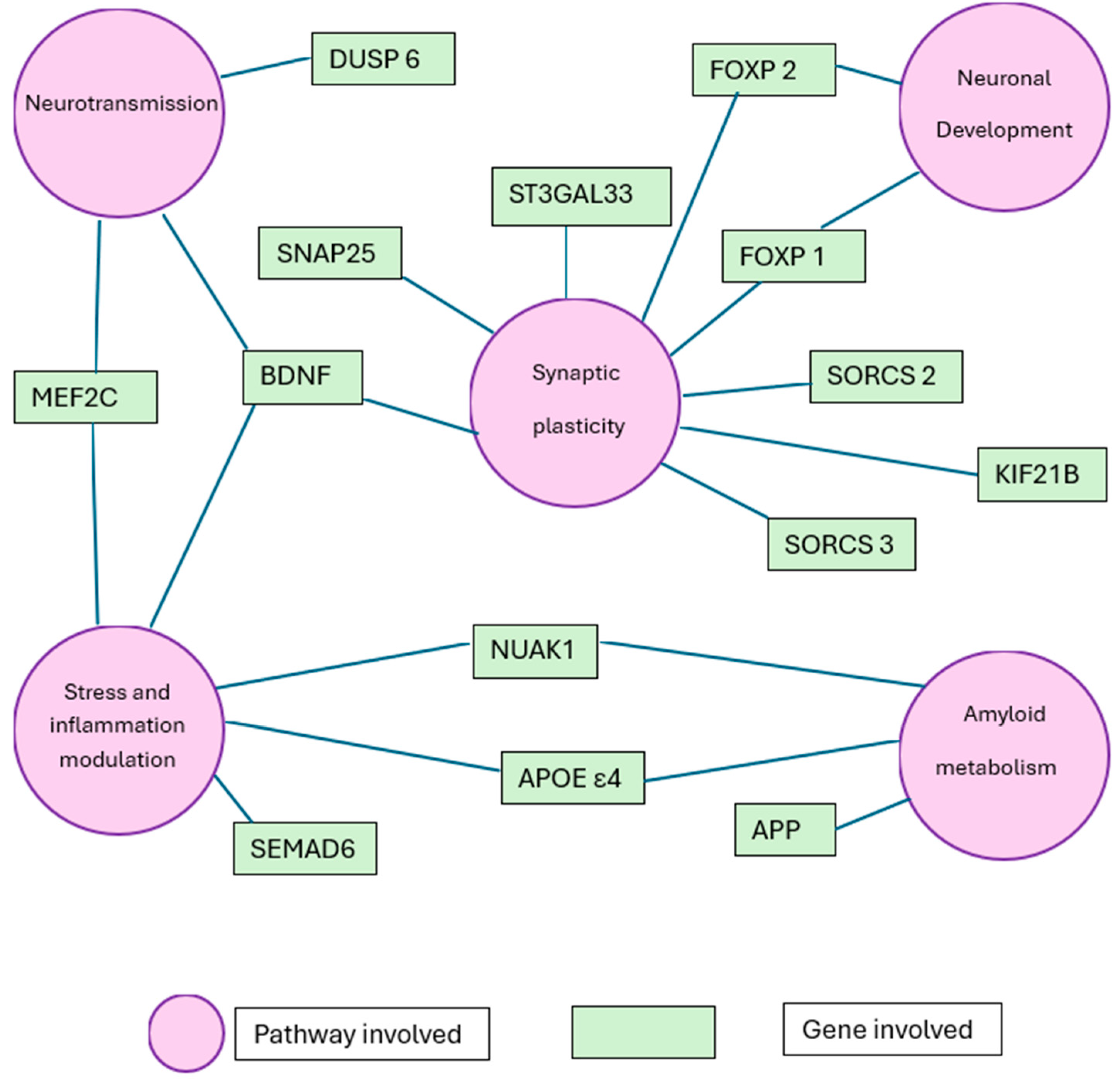 Neurosci 06 00097 g002