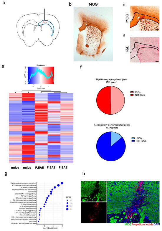 Neurosci 06 00106 g001