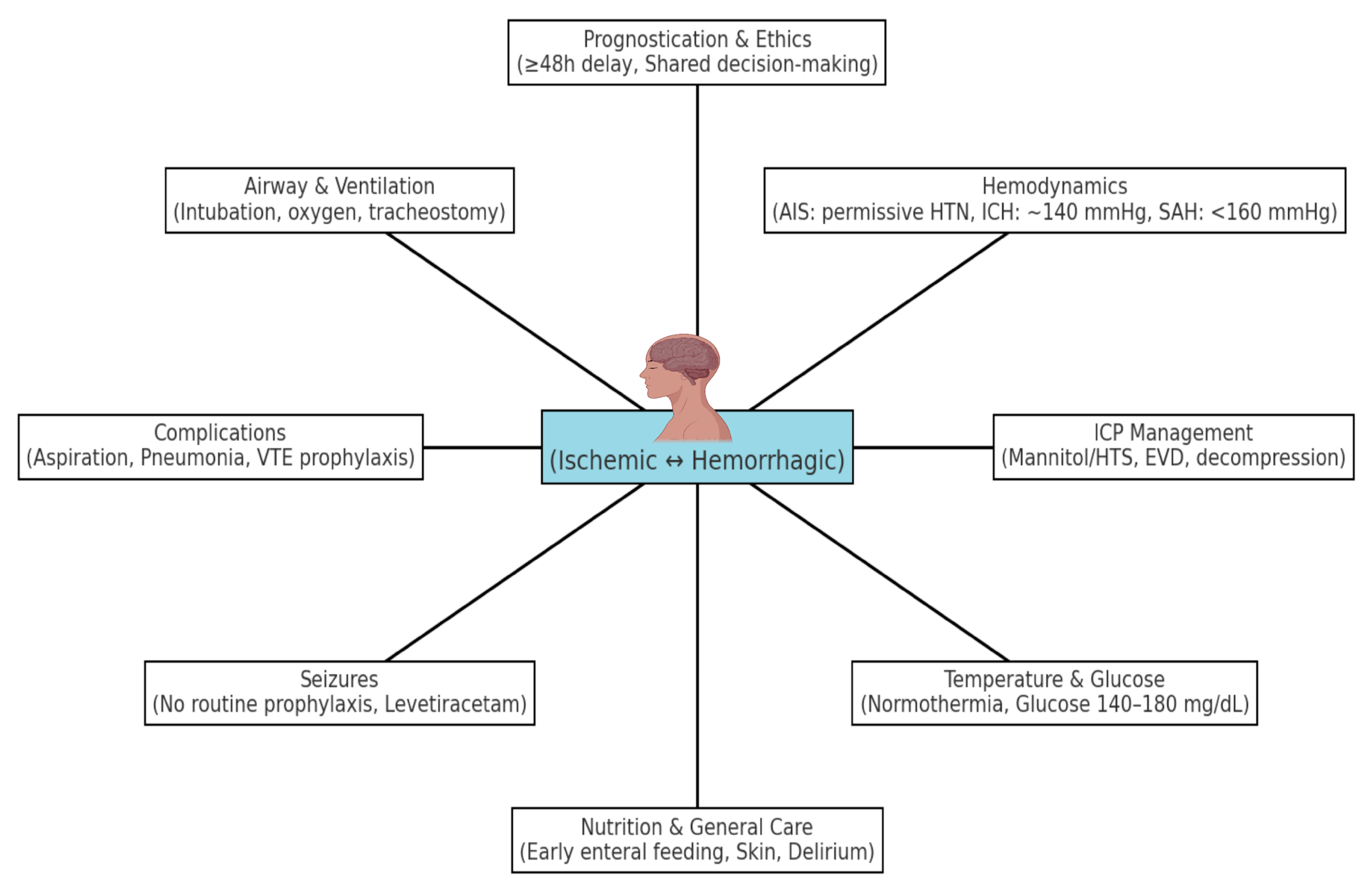 Neurosci 06 00121 g001