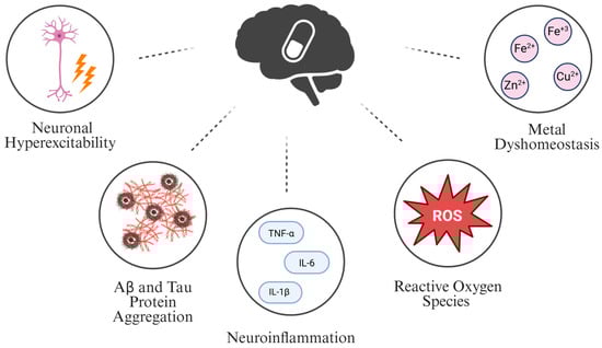 β-Alanine is believed to target multiple mechanisms involved in AD pathogenesis, including neuronal hyperexcitability, Aβ and tau protein aggregation, neuroinflammation, reactive oxygen species (ROS), and metal imbalance. These target sites should be addressed to develop an AD treatment Created in BioRender. Wozniczka, C. (2026) https://BioRender.com/fvjqvhx.